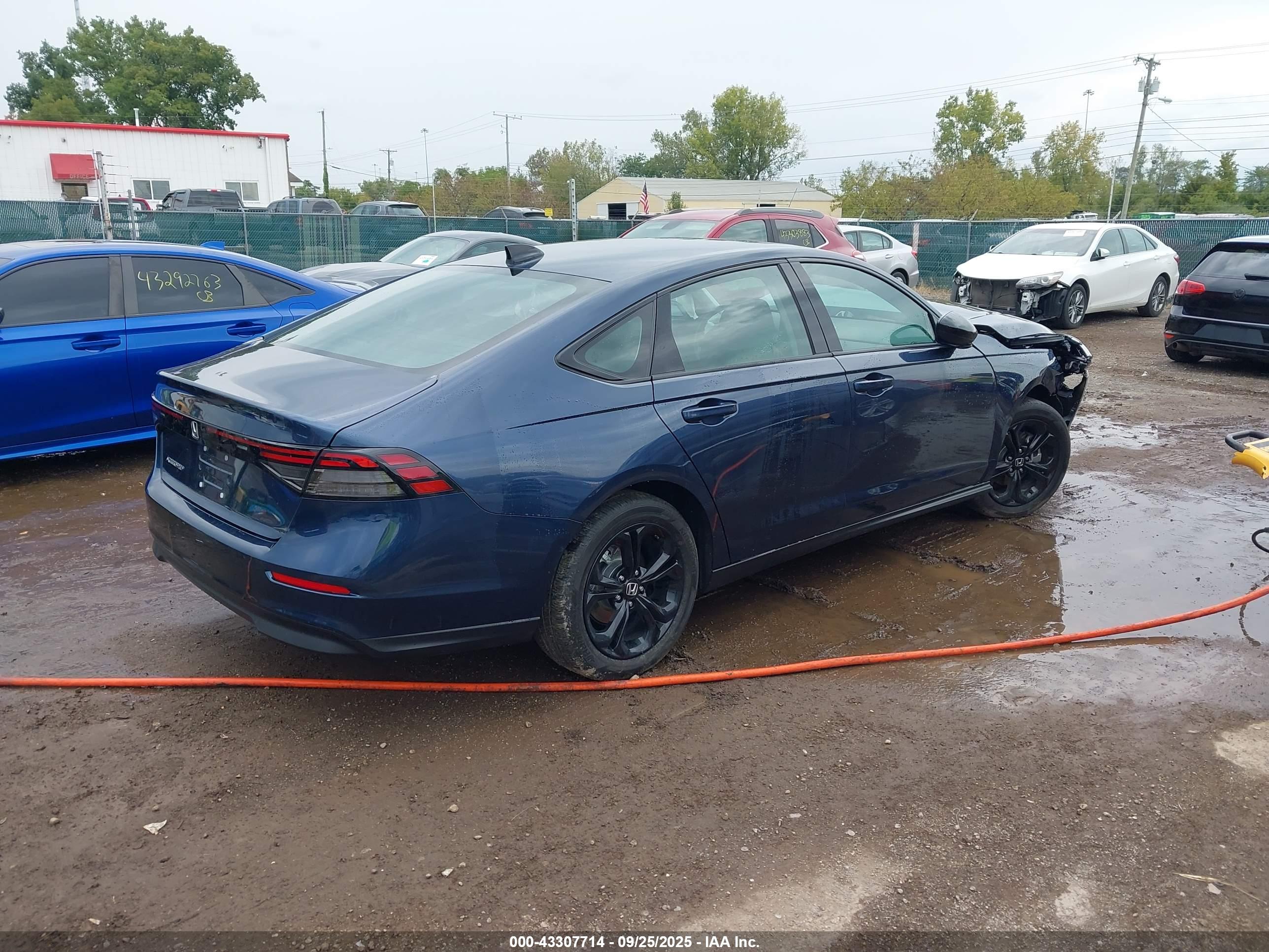 HONDA ACCORD image 4