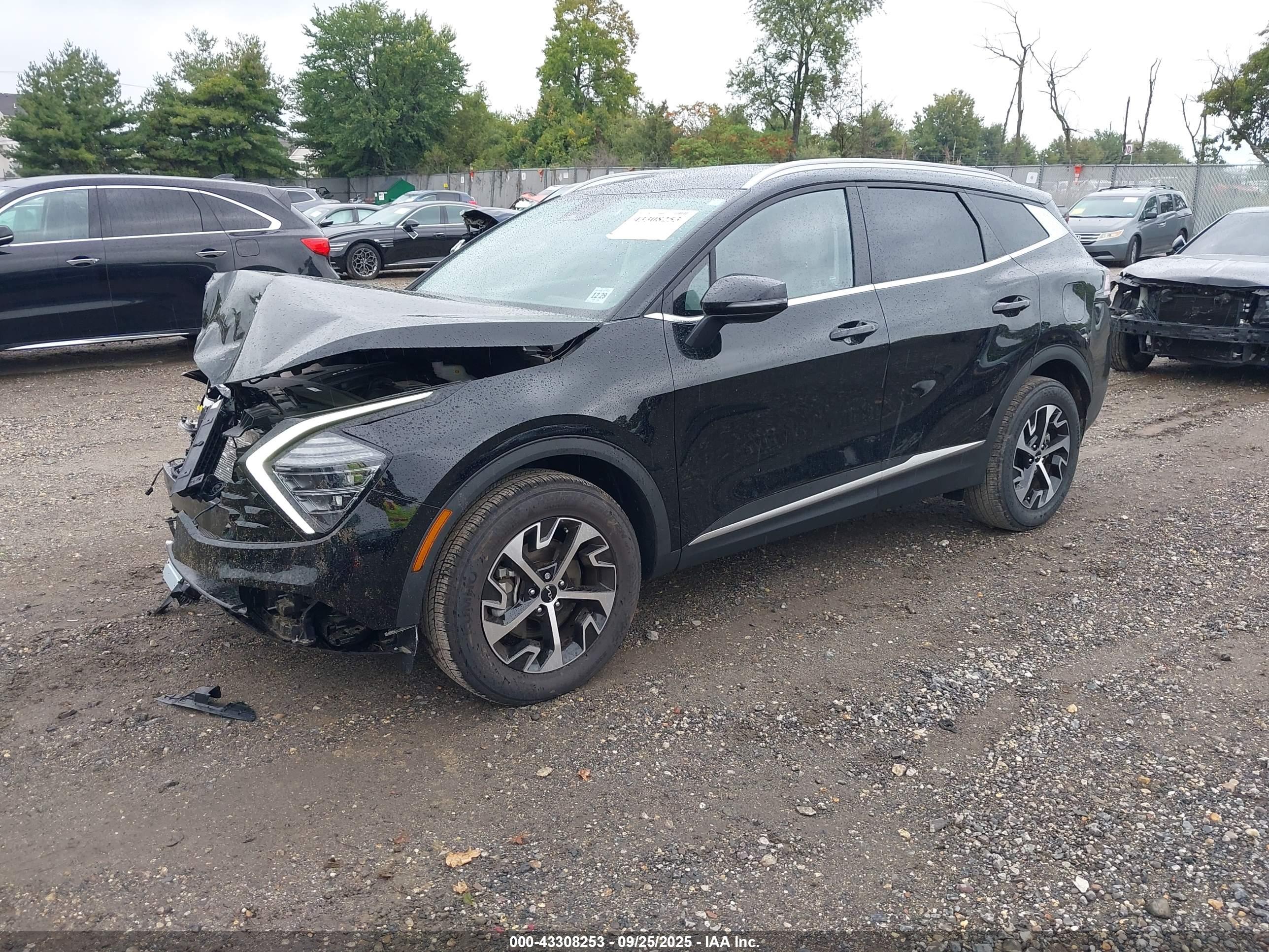 KIA SPORTAGE image 2