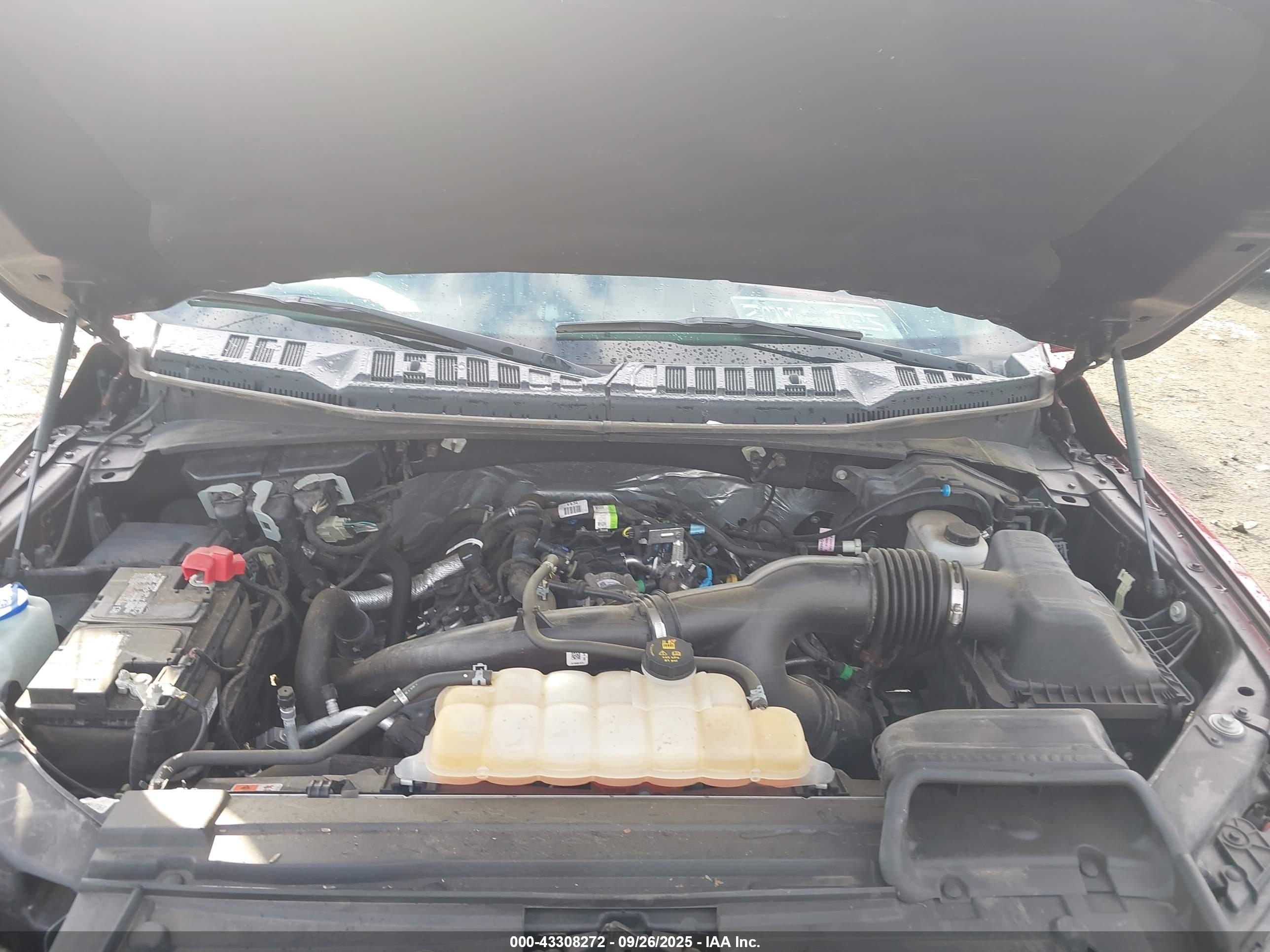 FORD F-150 image 10
