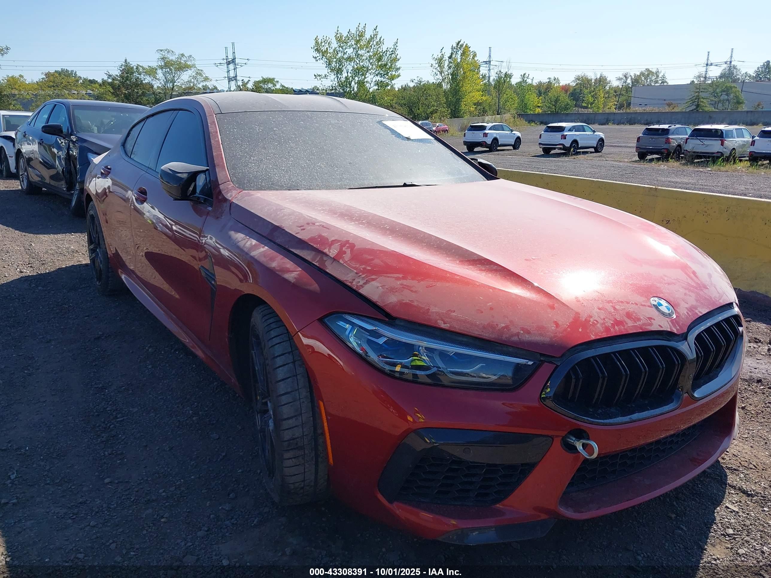 BMW M8 image 6