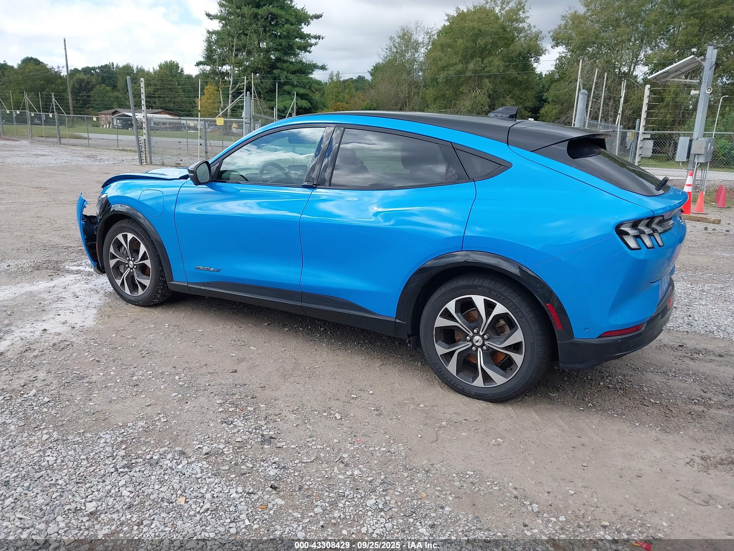 FORD MUSTANG image 3
