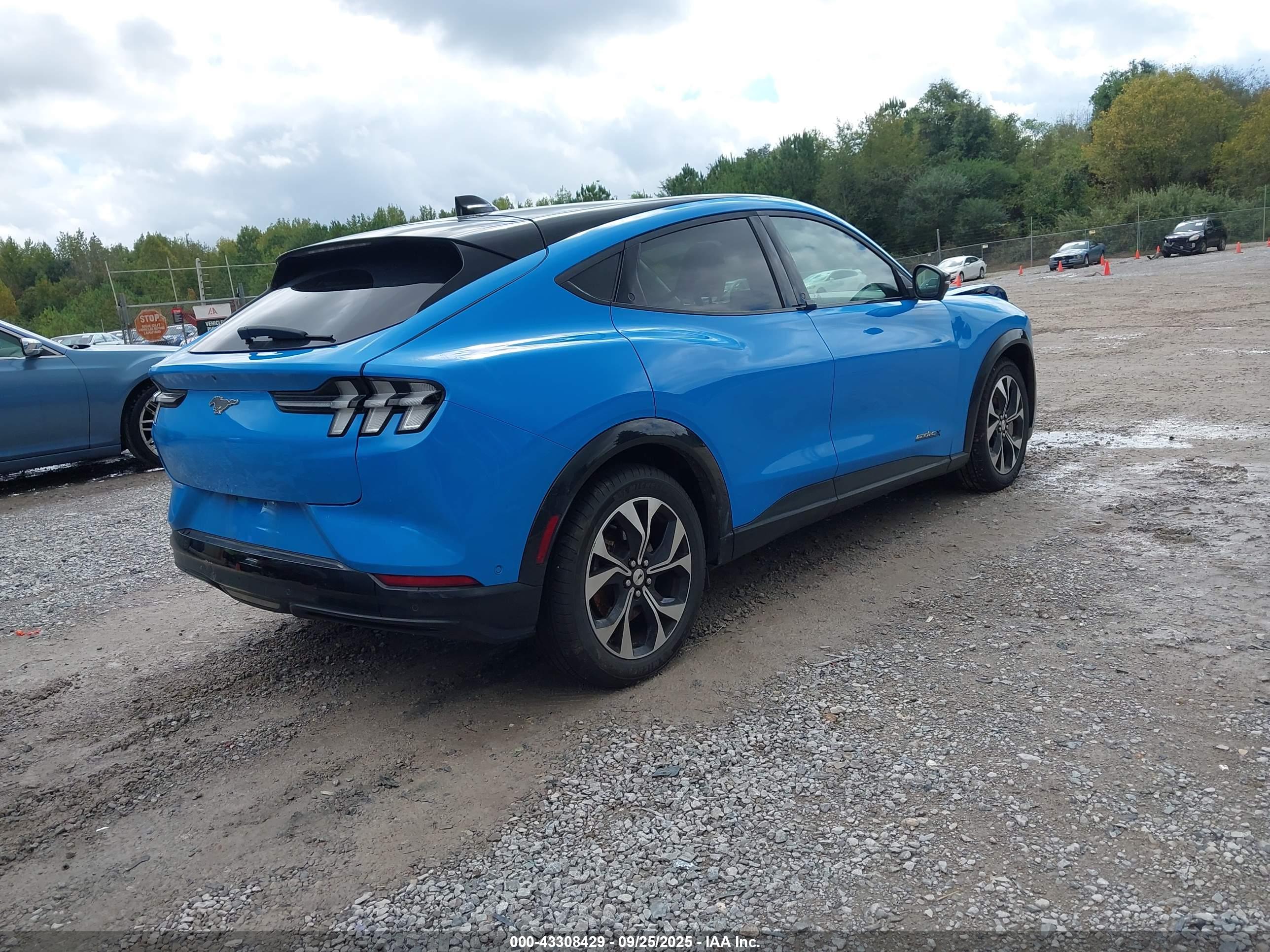 FORD MUSTANG image 4