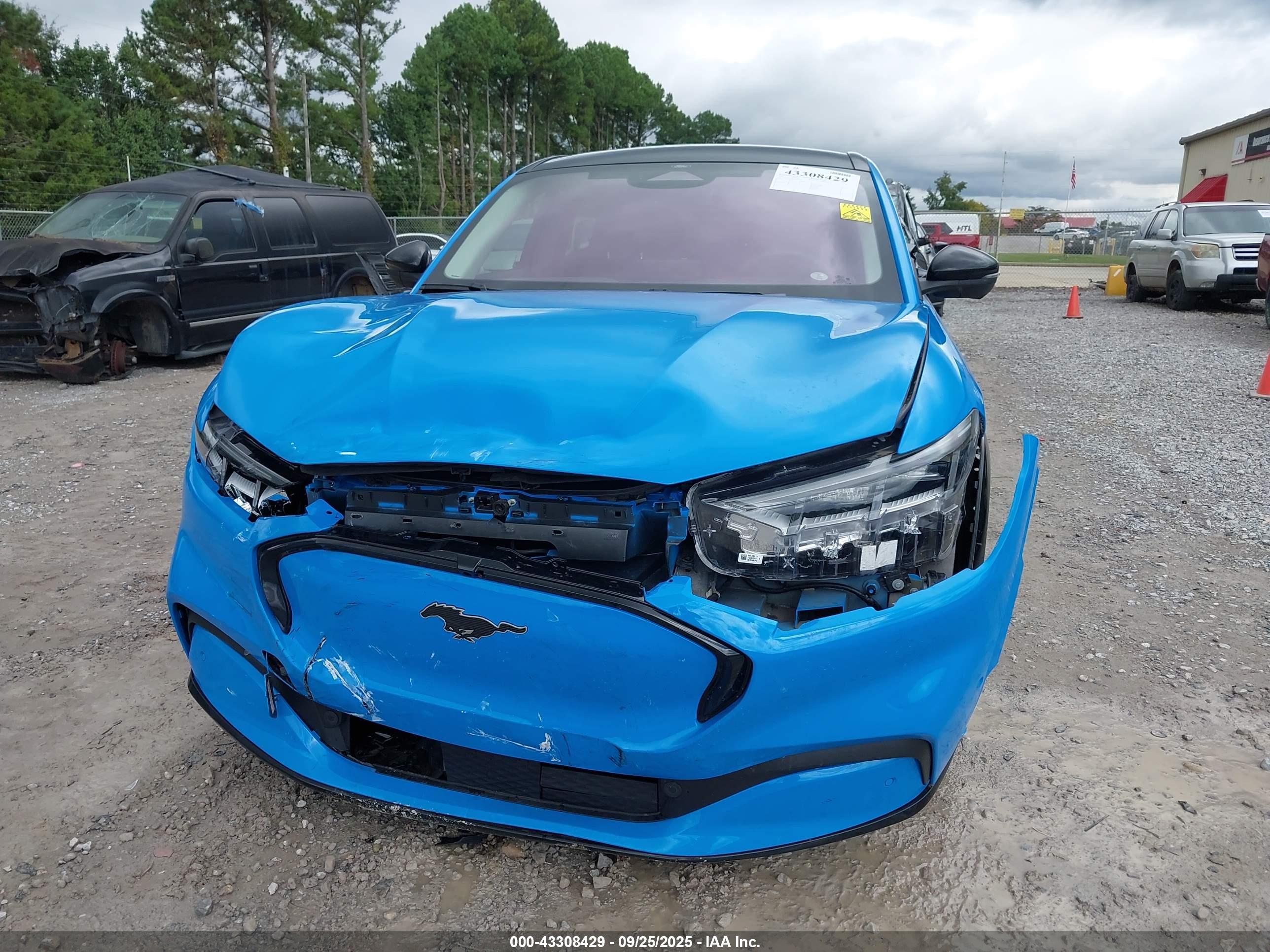 FORD MUSTANG image 6