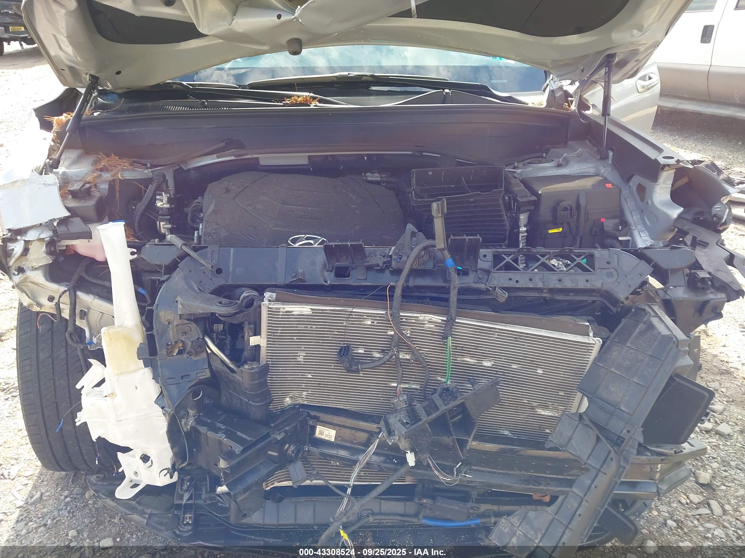 HYUNDAI PALISADE image 10