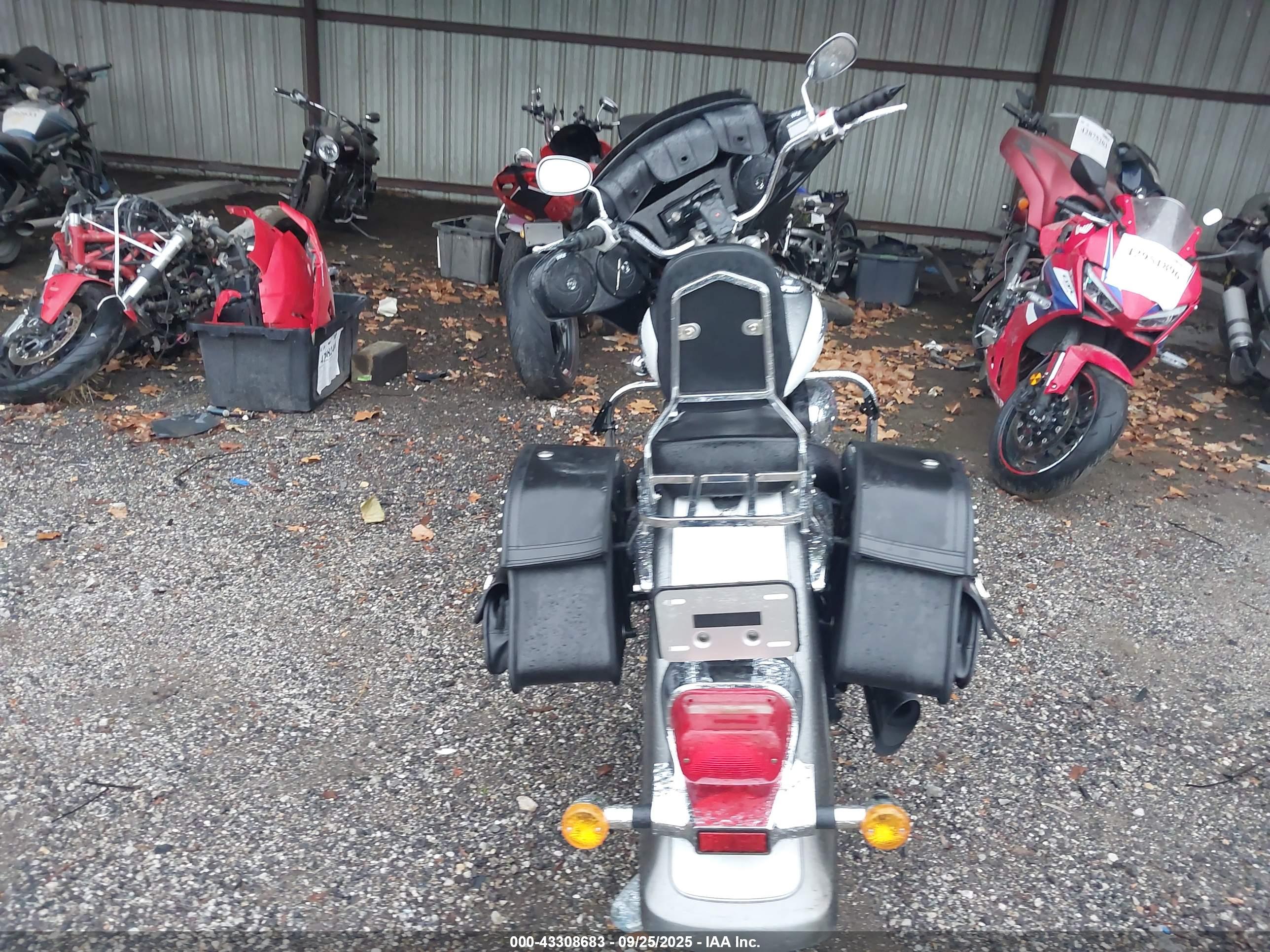 SUZUKI VL800 image 6