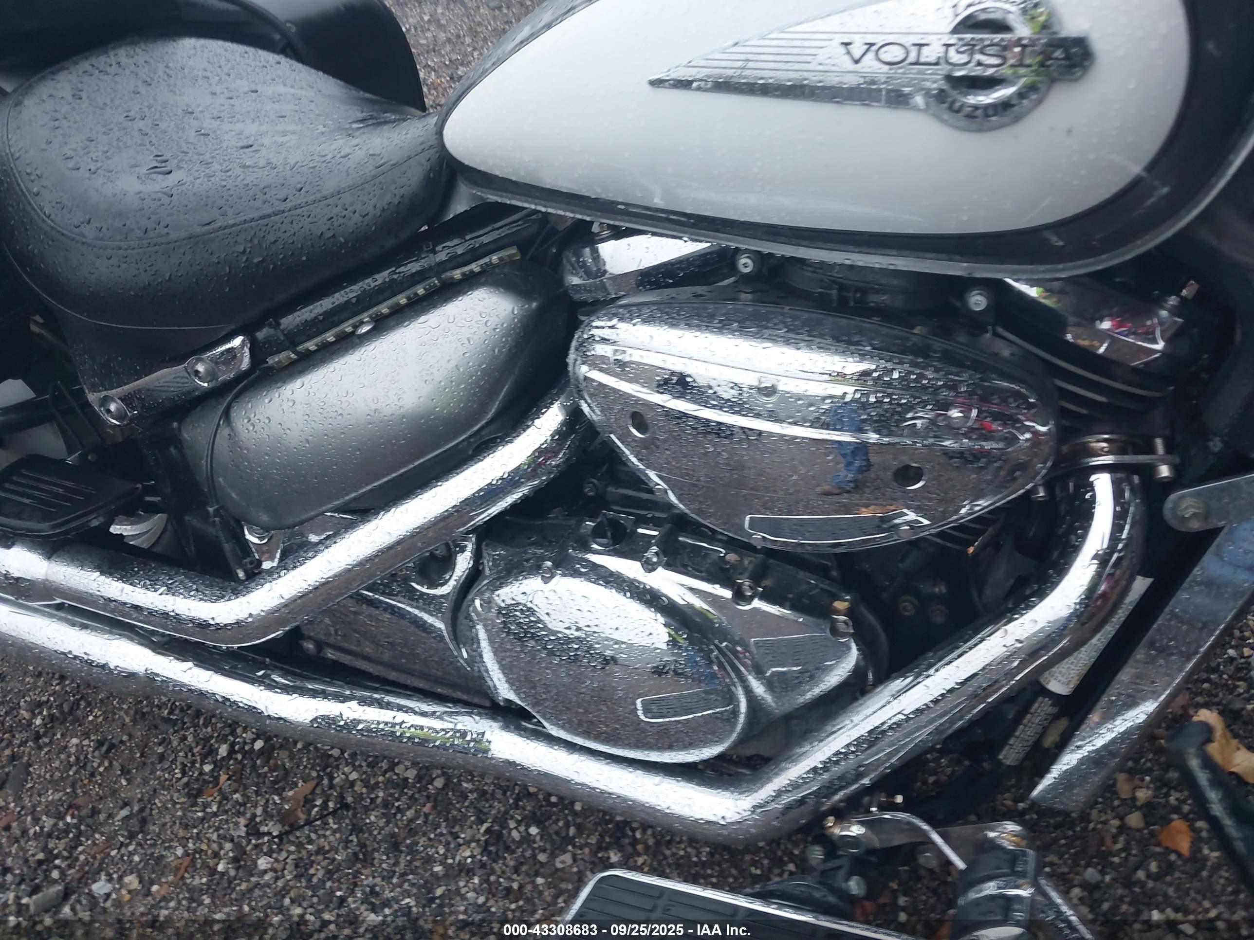 SUZUKI VL800 image 8