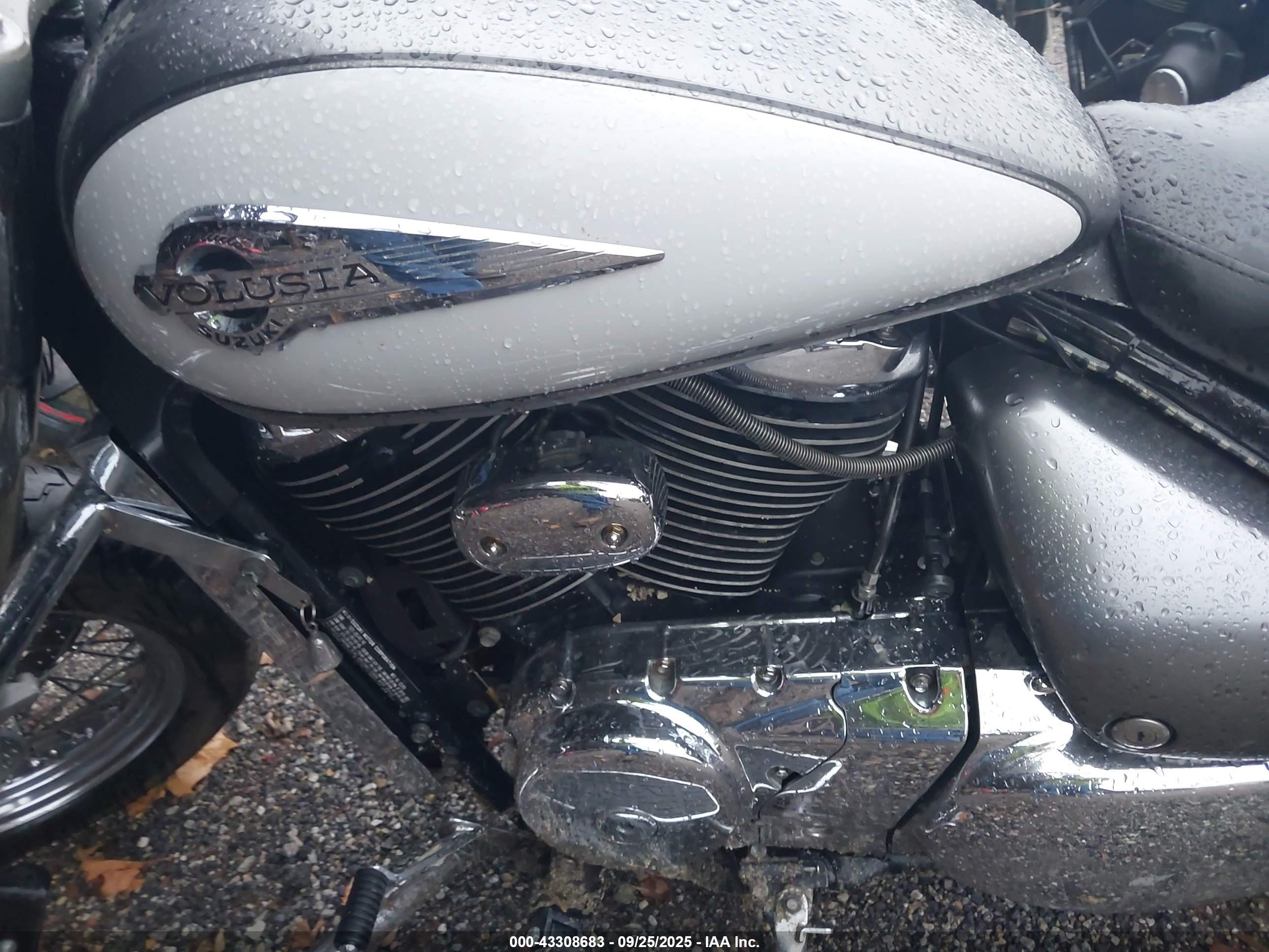 SUZUKI VL800 image 9