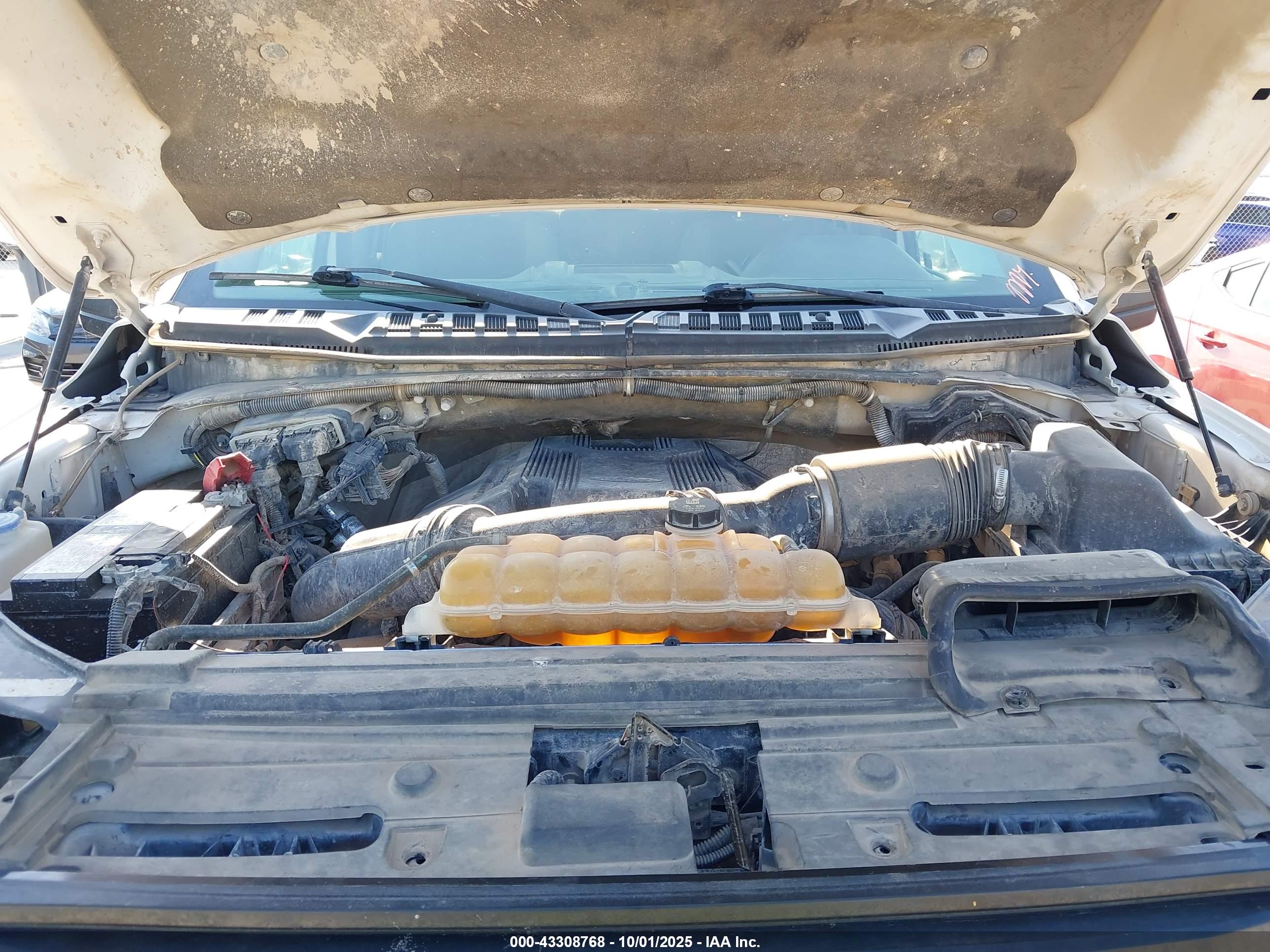 FORD F-150 image 10