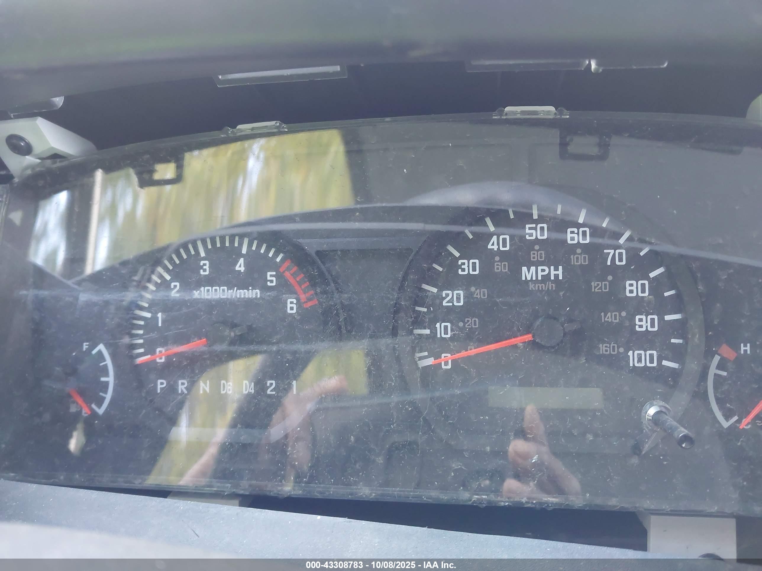 ISUZU NPR image 6