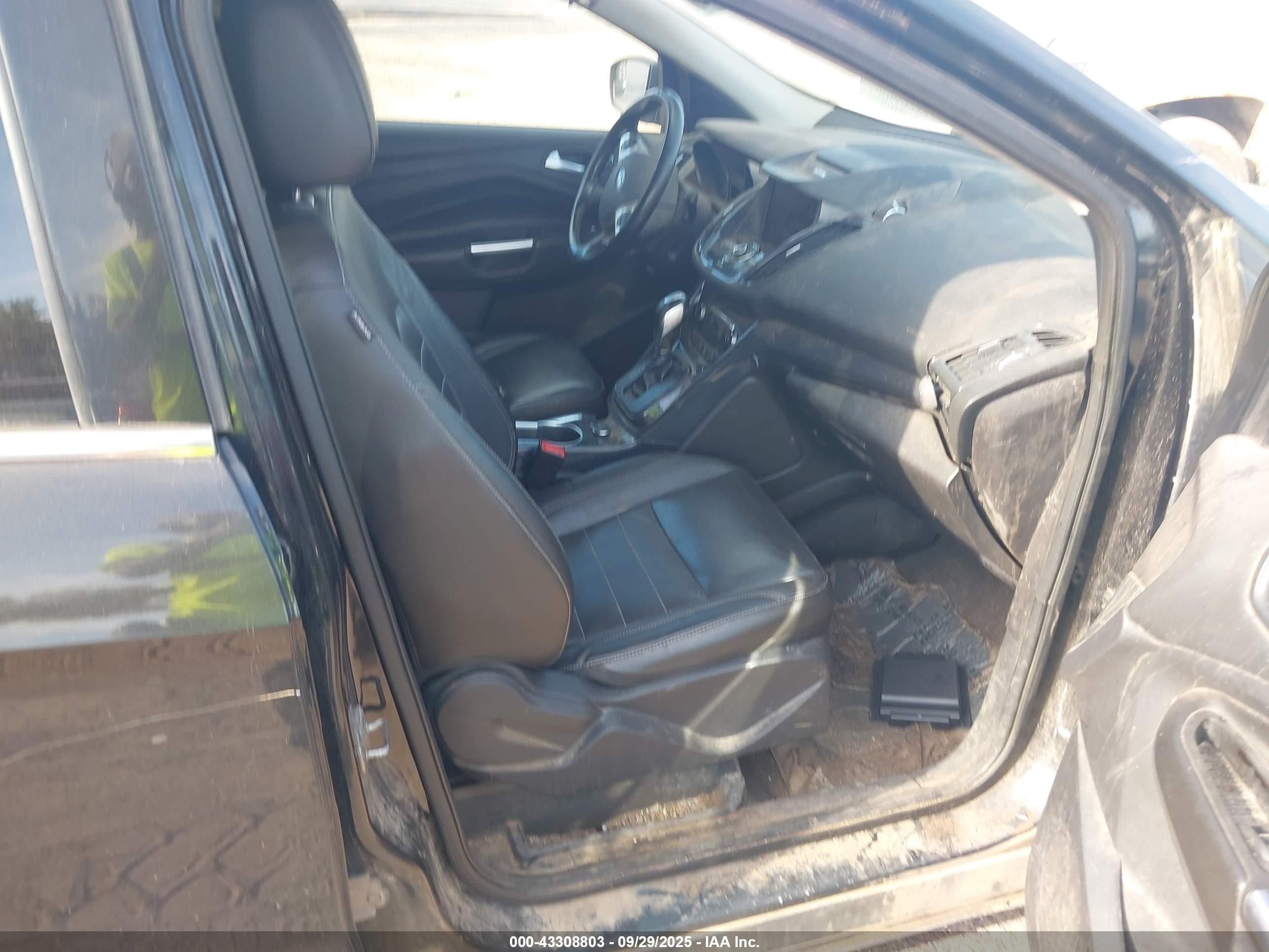 FORD ESCAPE image 5