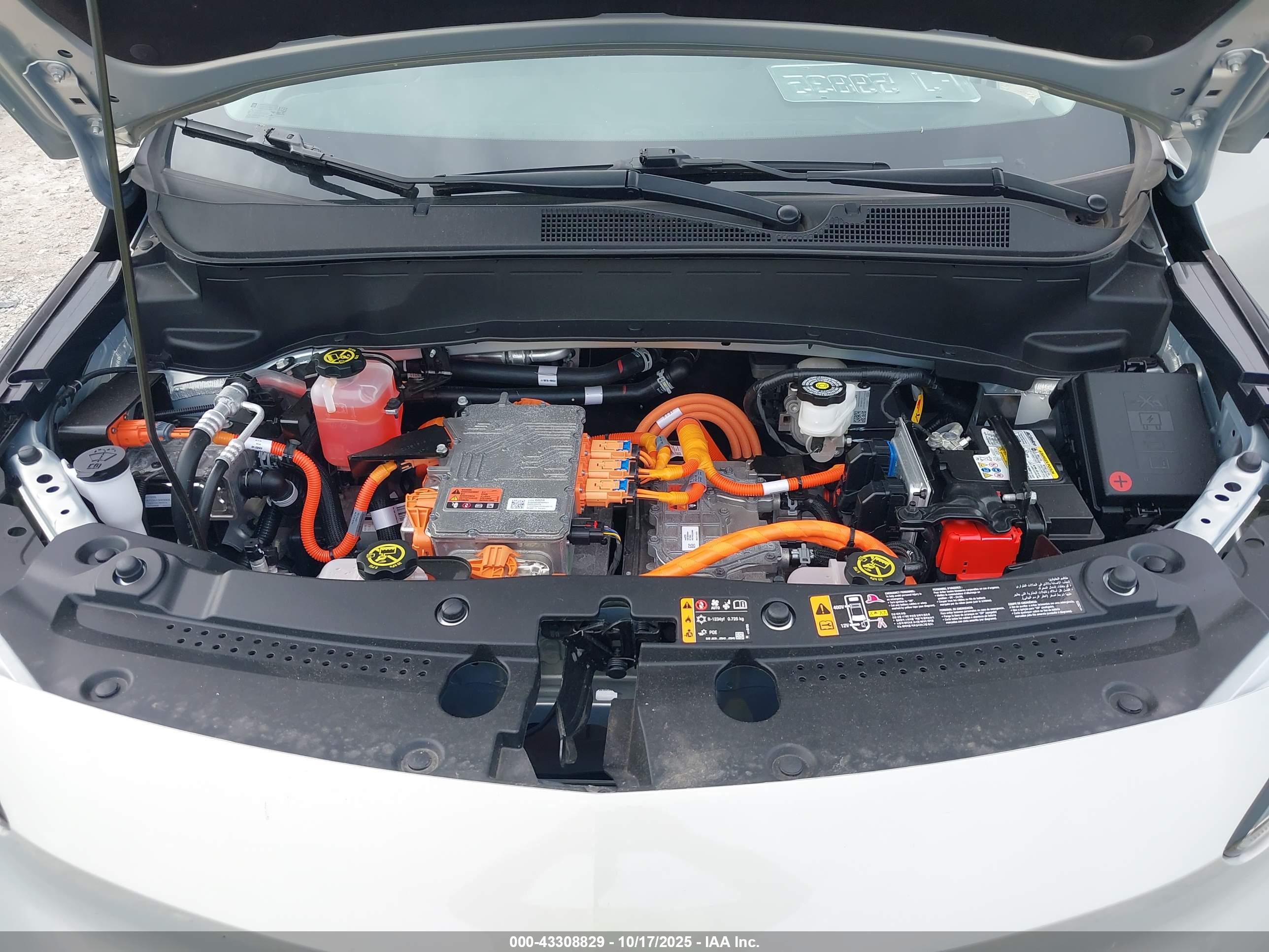 CHEVROLET BOLT image 10