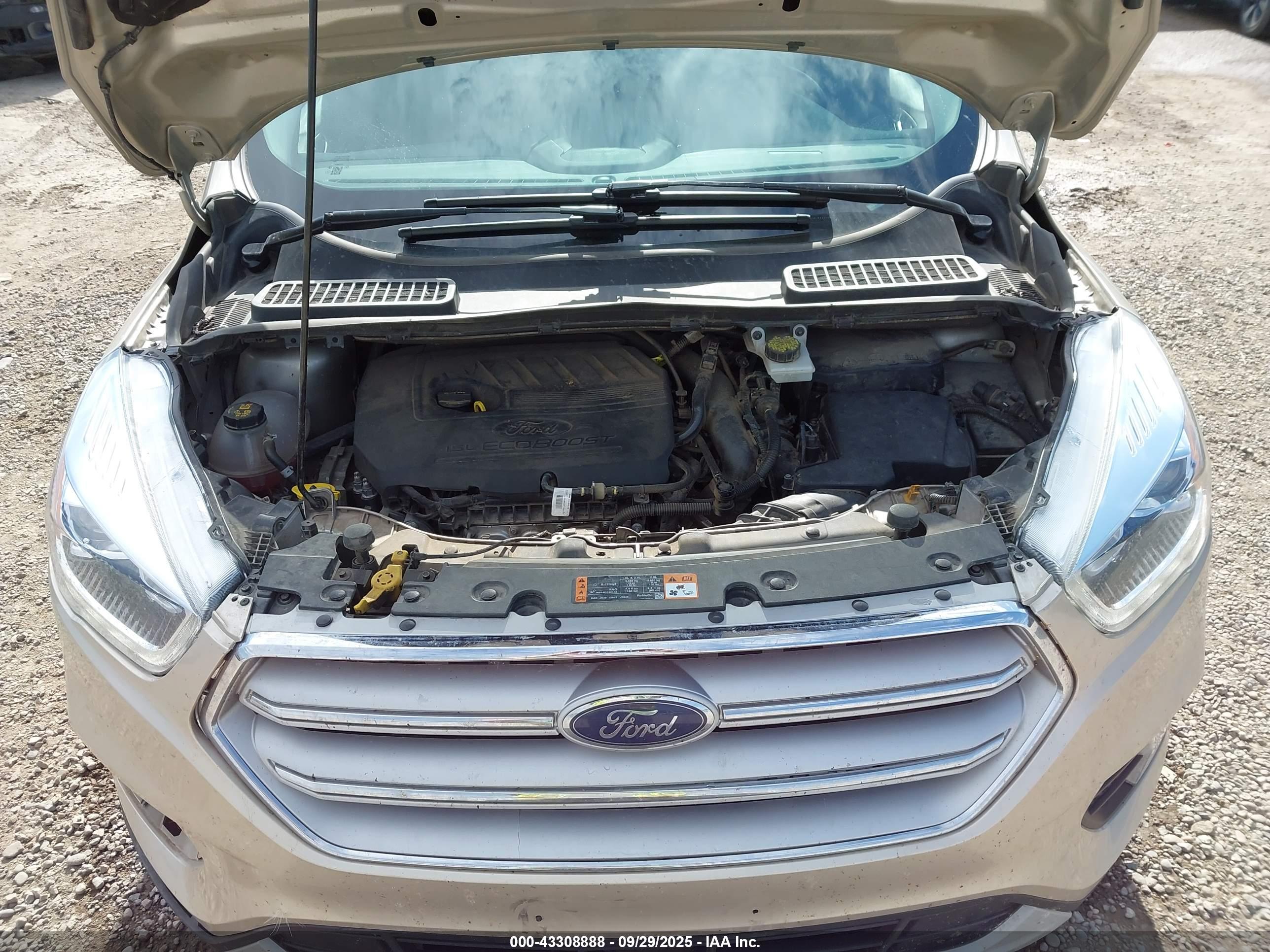FORD ESCAPE image 10