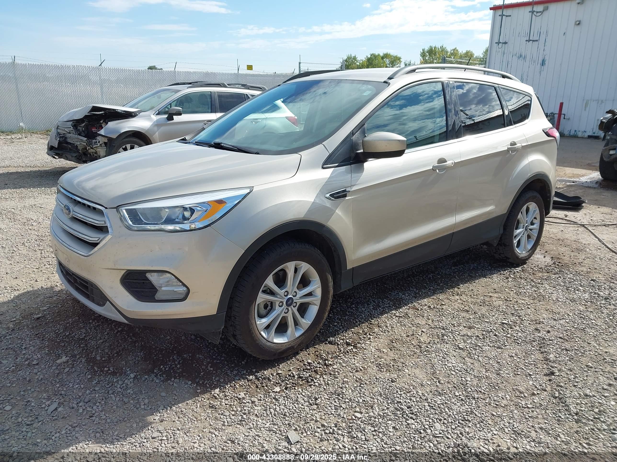 FORD ESCAPE image 2