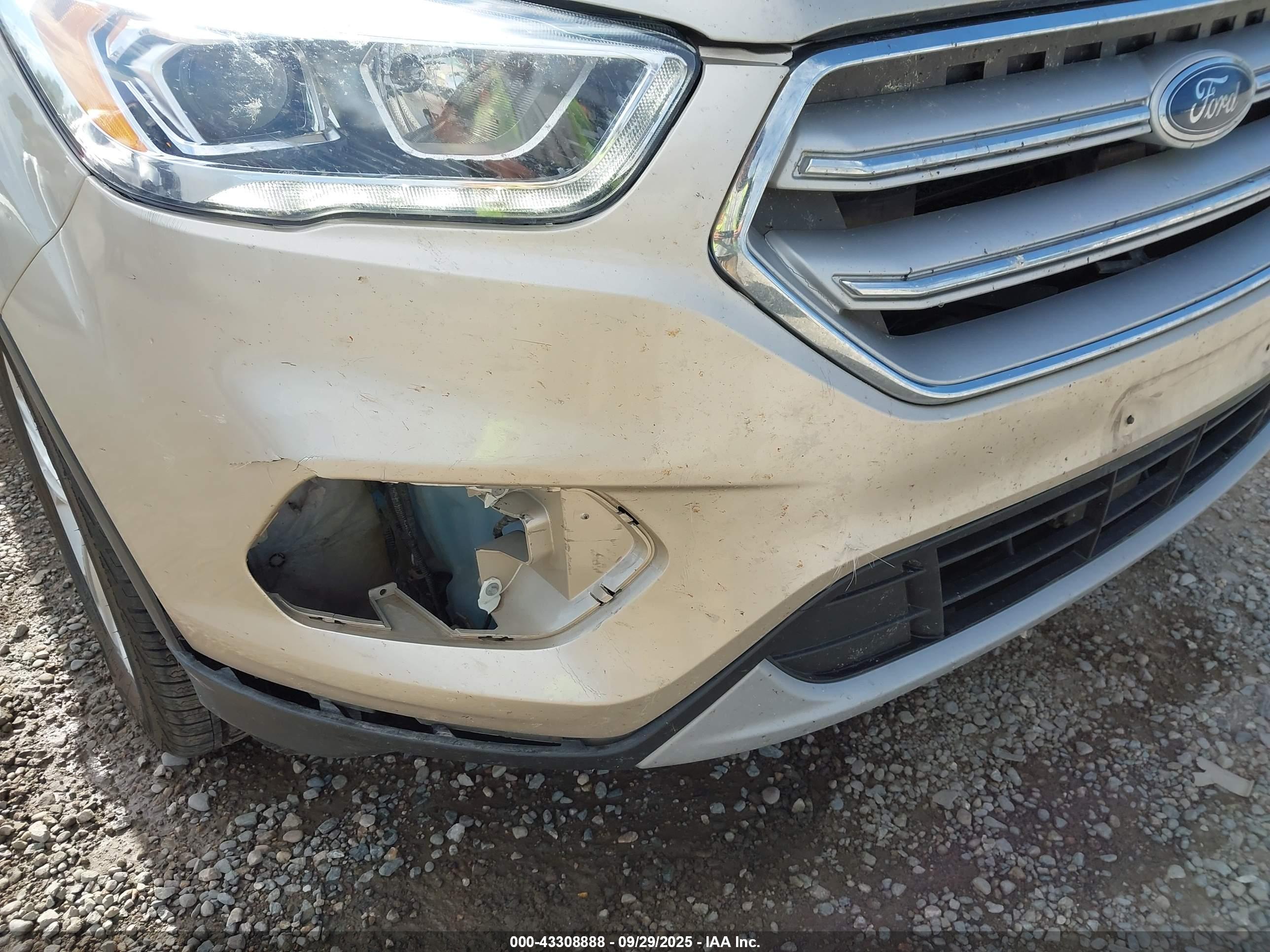 FORD ESCAPE image 6