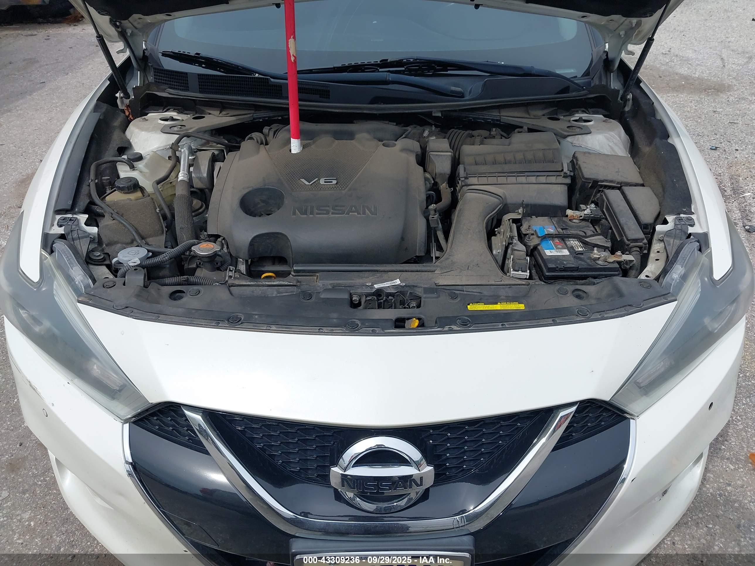 NISSAN MAXIMA image 10