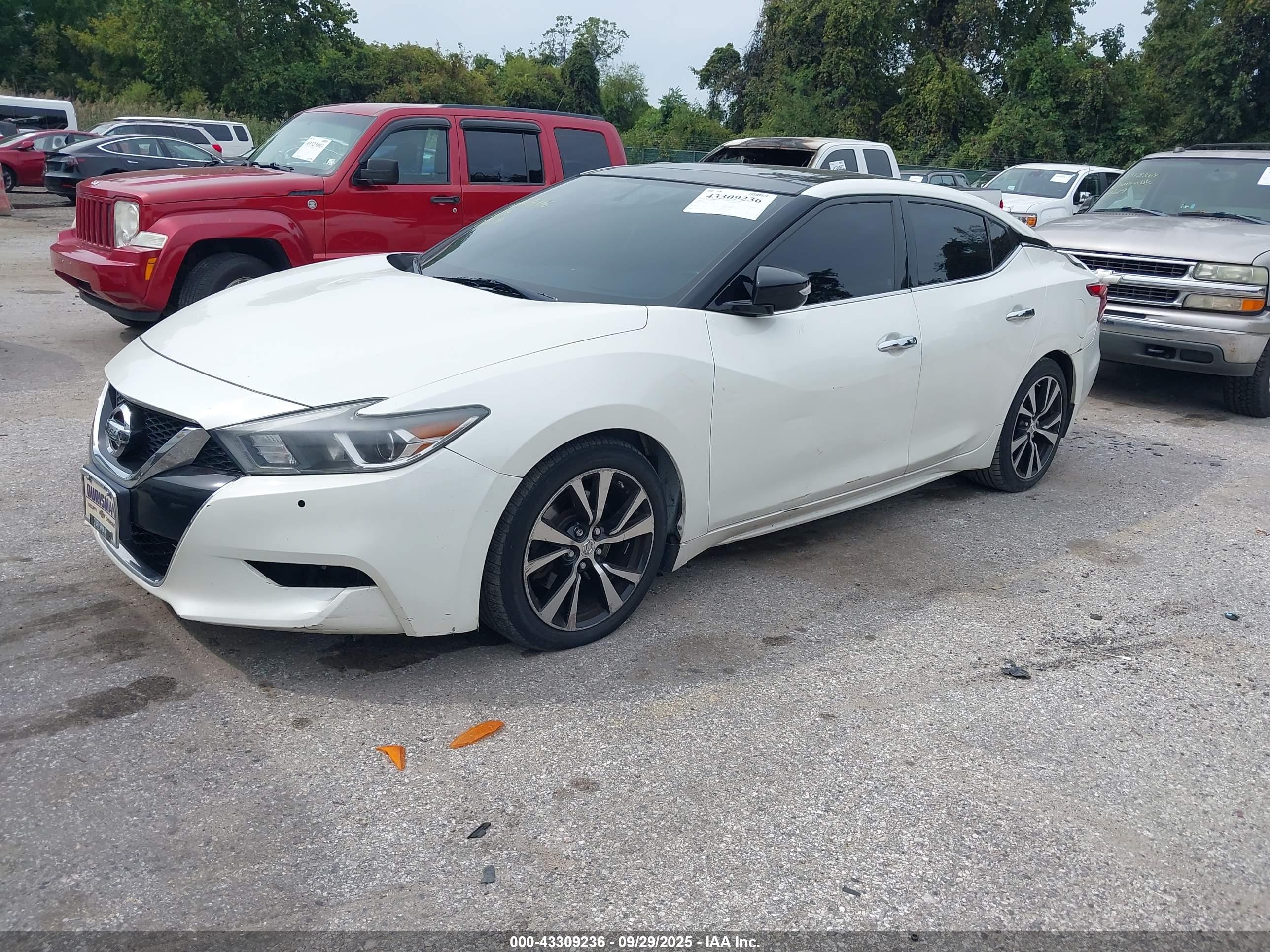 NISSAN MAXIMA image 2