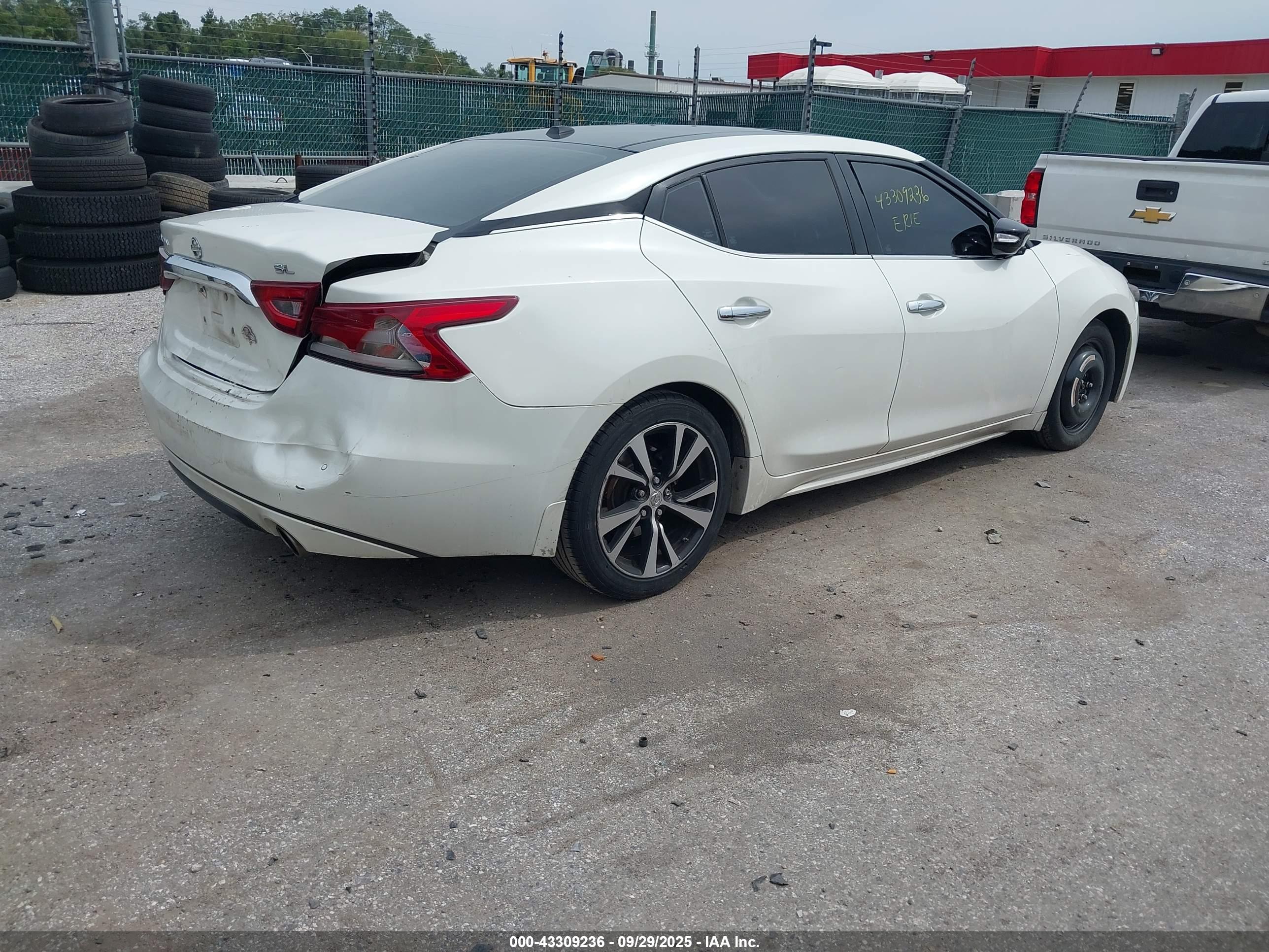NISSAN MAXIMA image 4