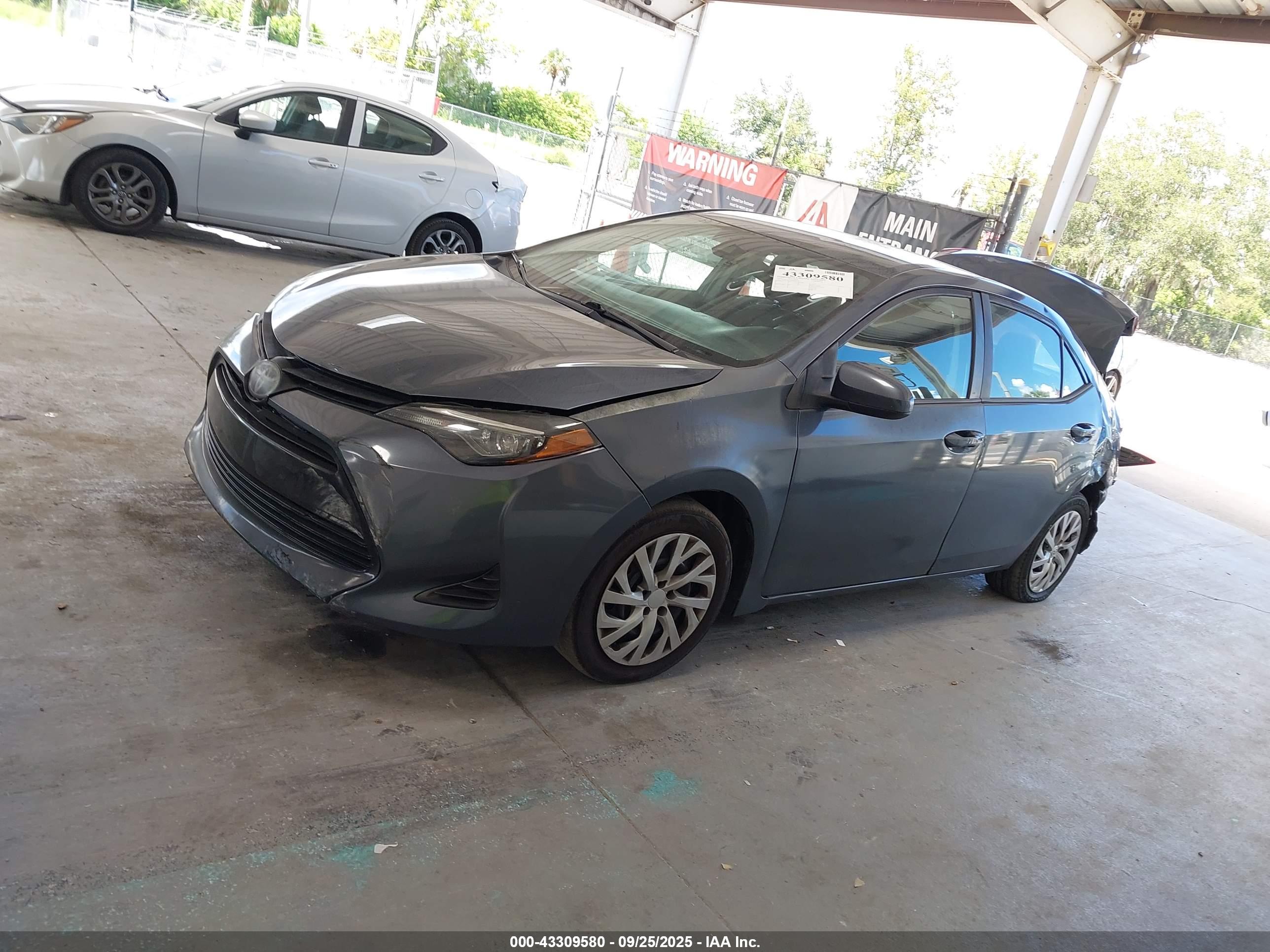 TOYOTA COROLLA image 2