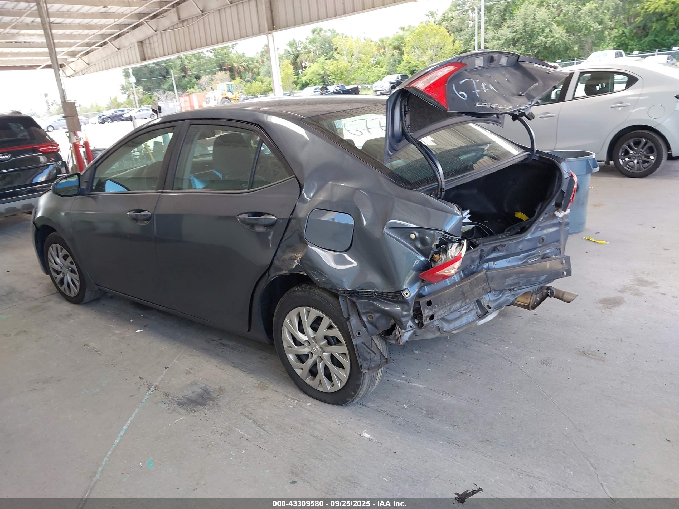 TOYOTA COROLLA image 3