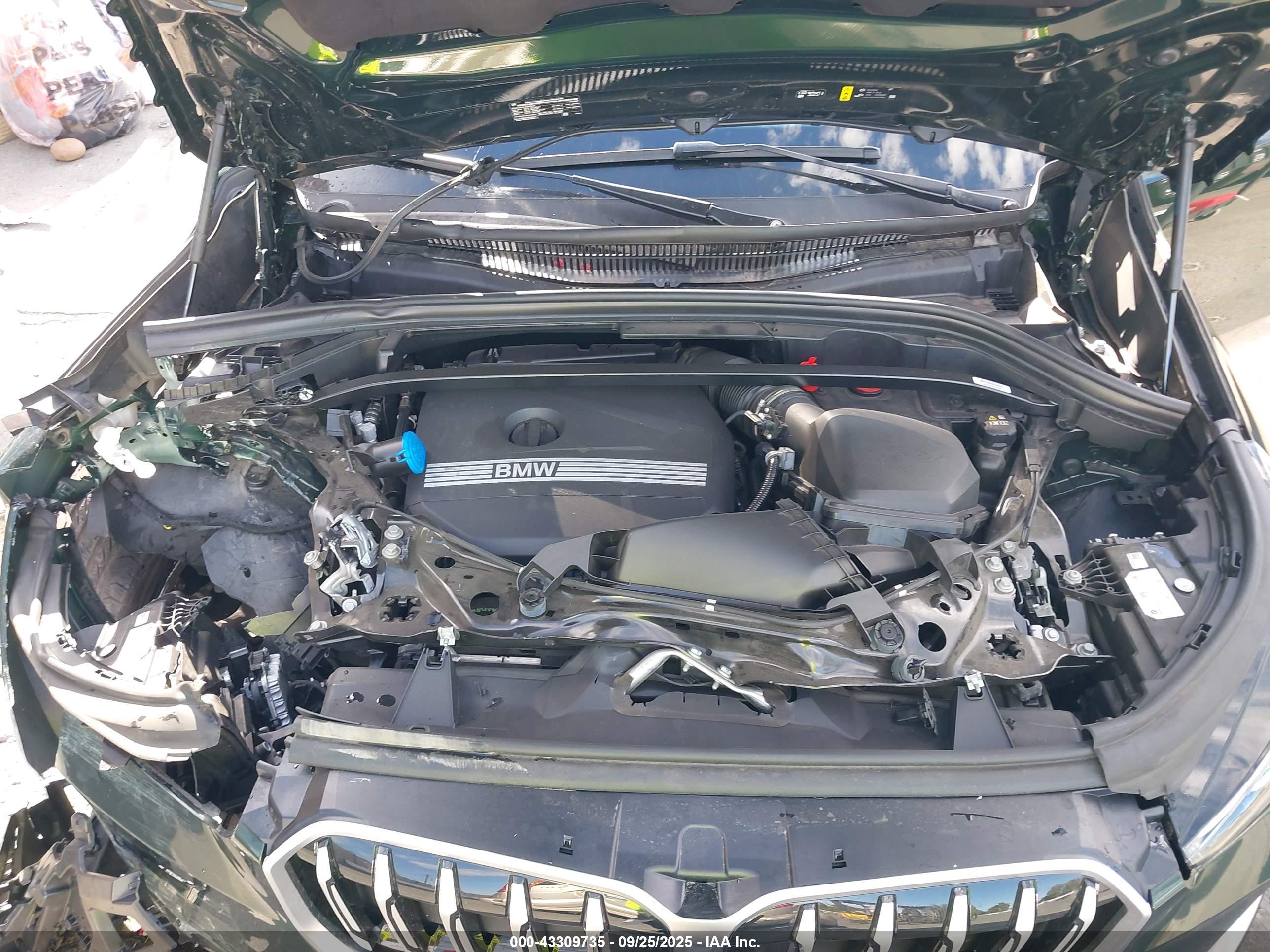 BMW X1 image 10