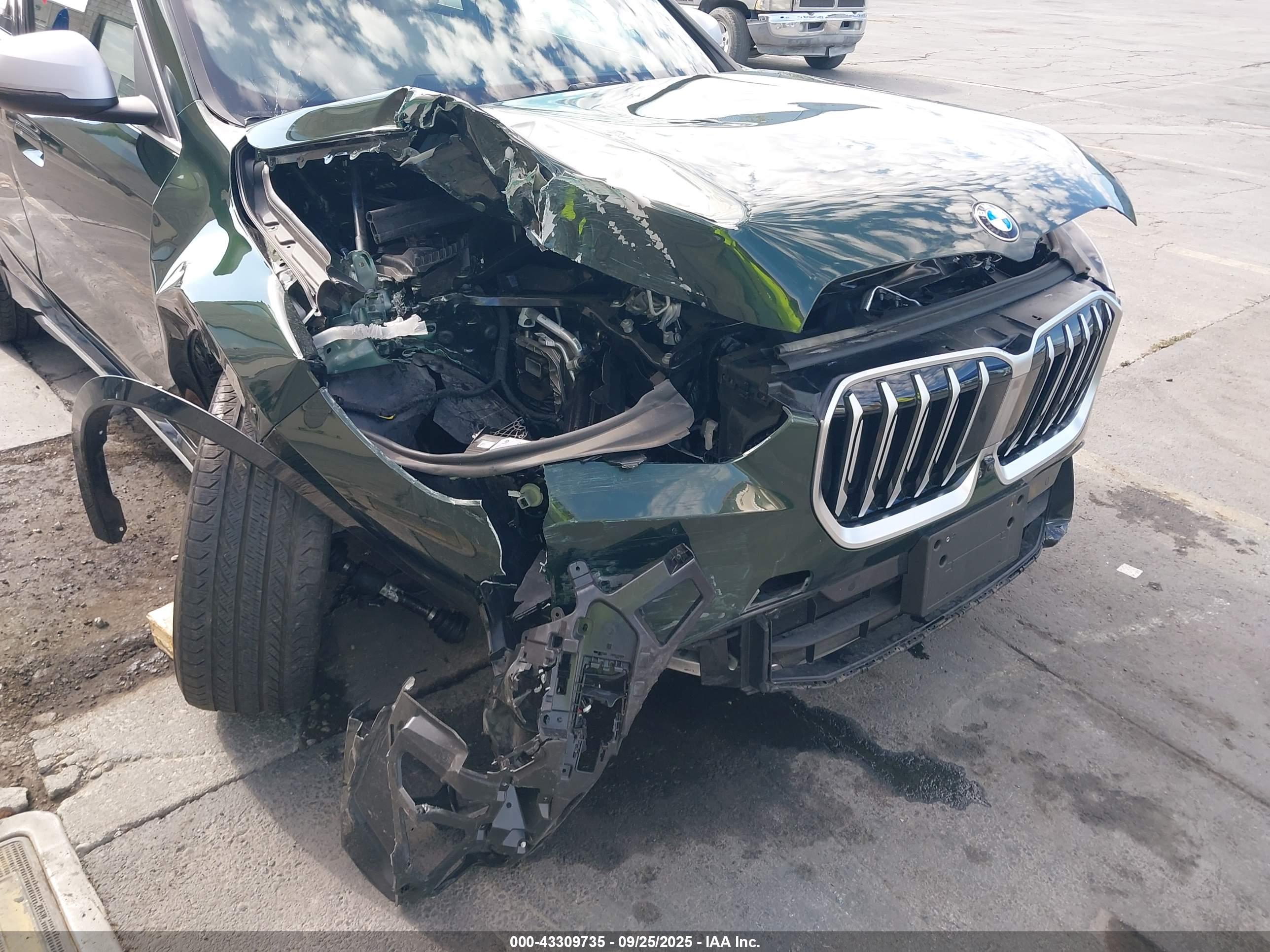 BMW X1 image 6