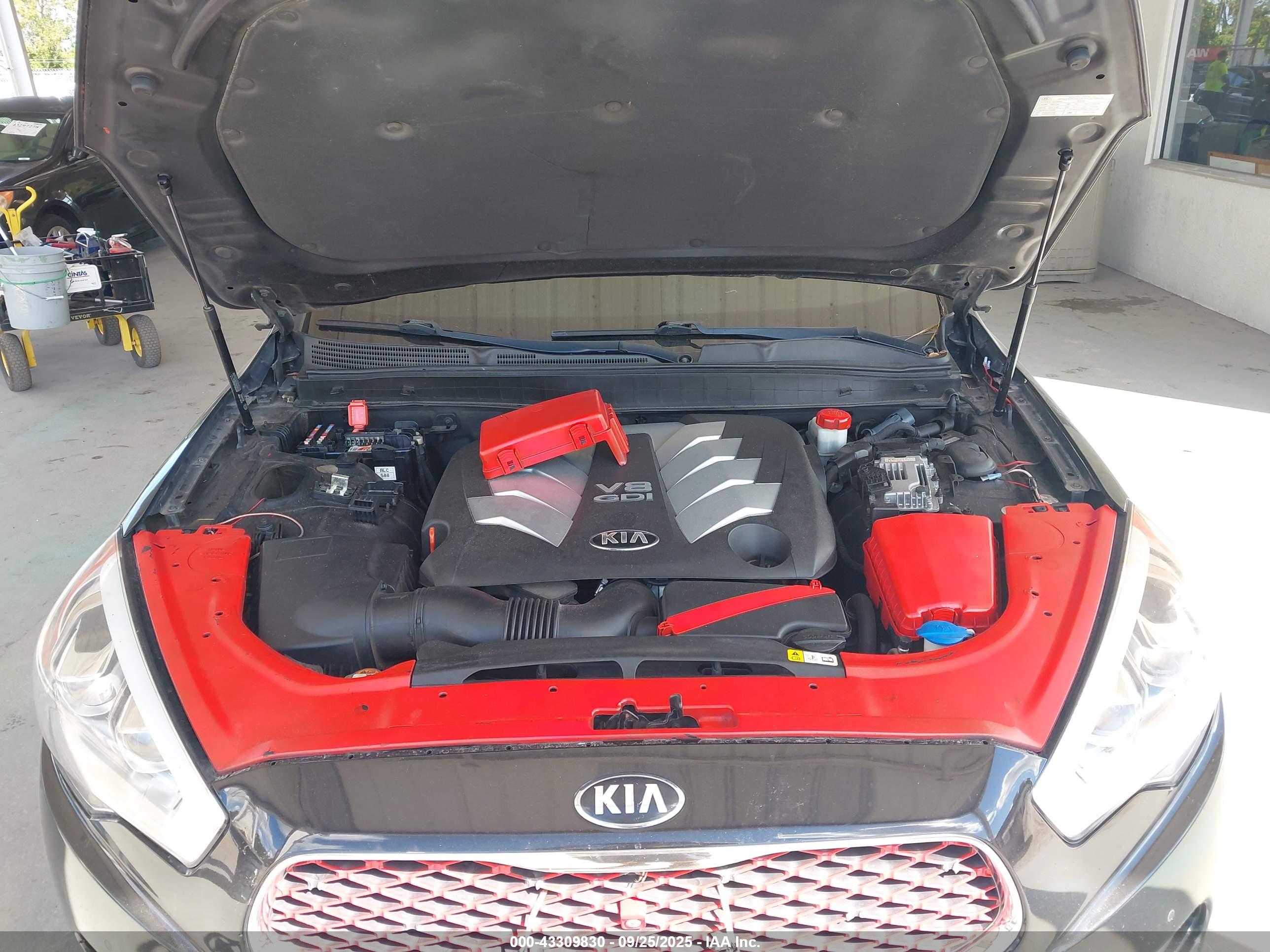 KIA K900 image 10