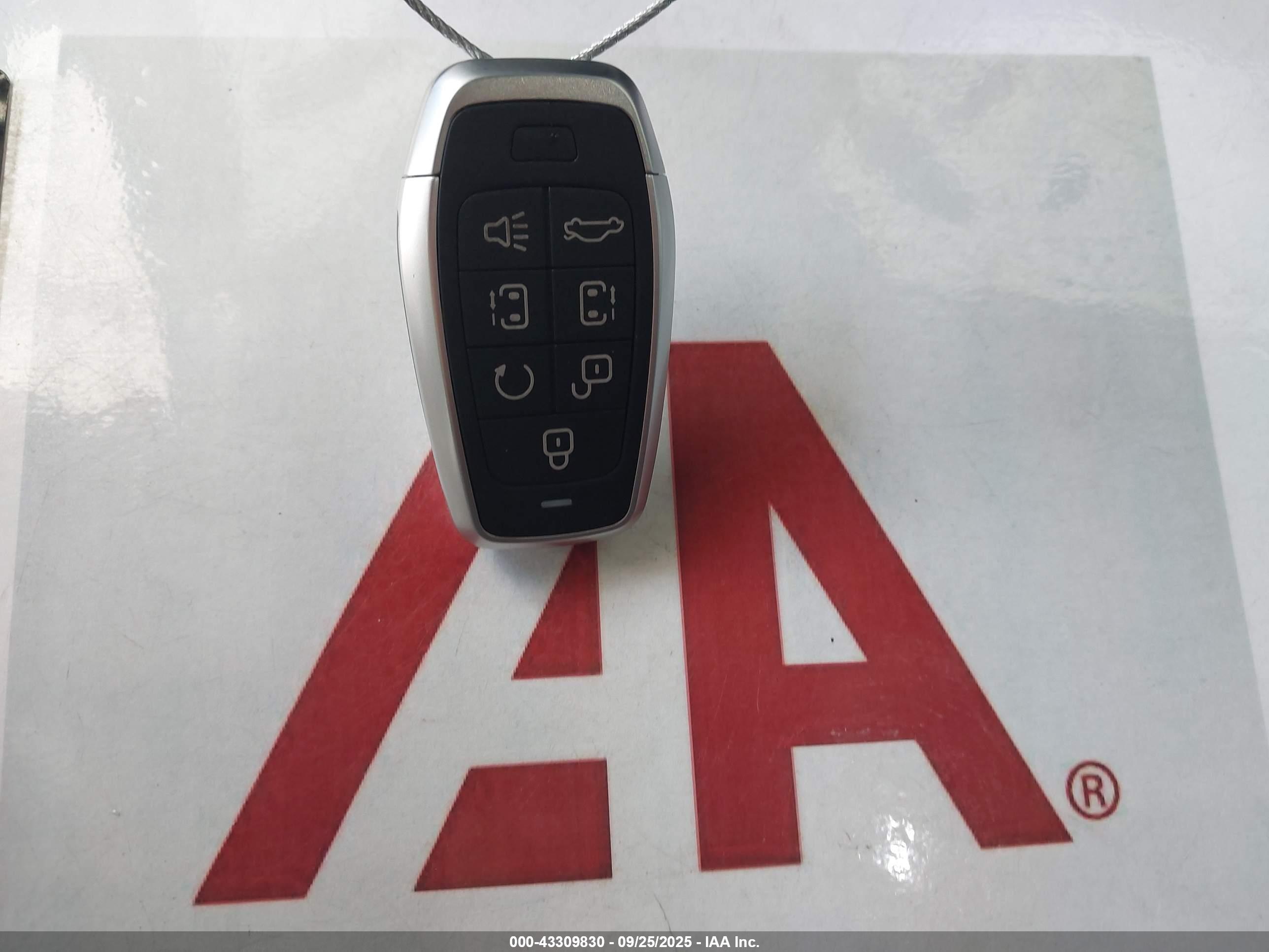KIA K900 image 11