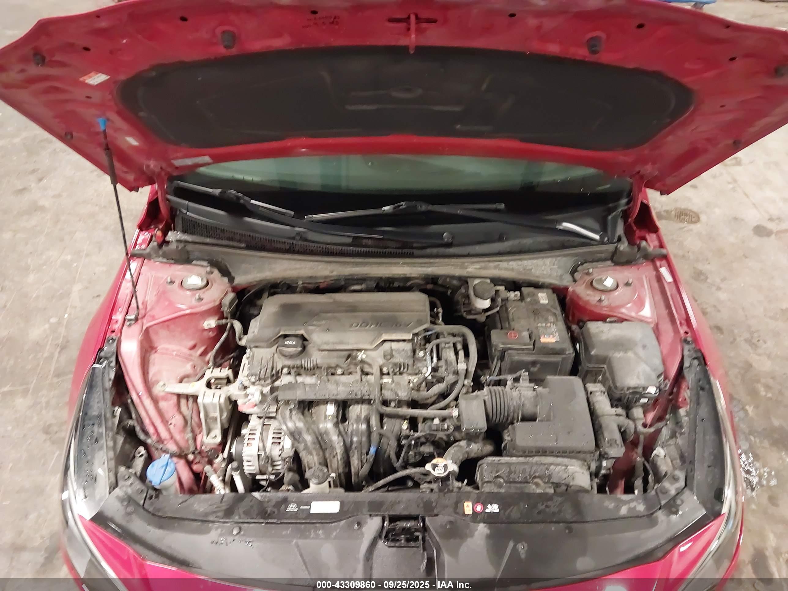 HYUNDAI ELANTRA image 10