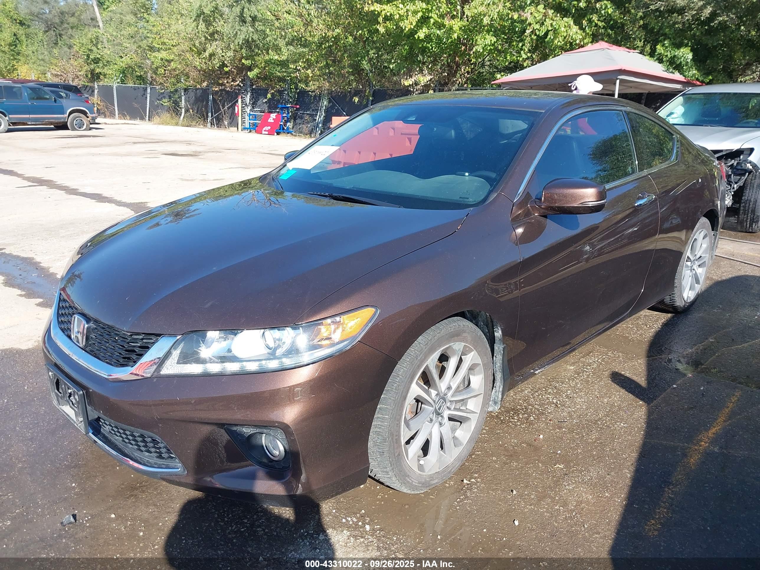 HONDA ACCORD image 2