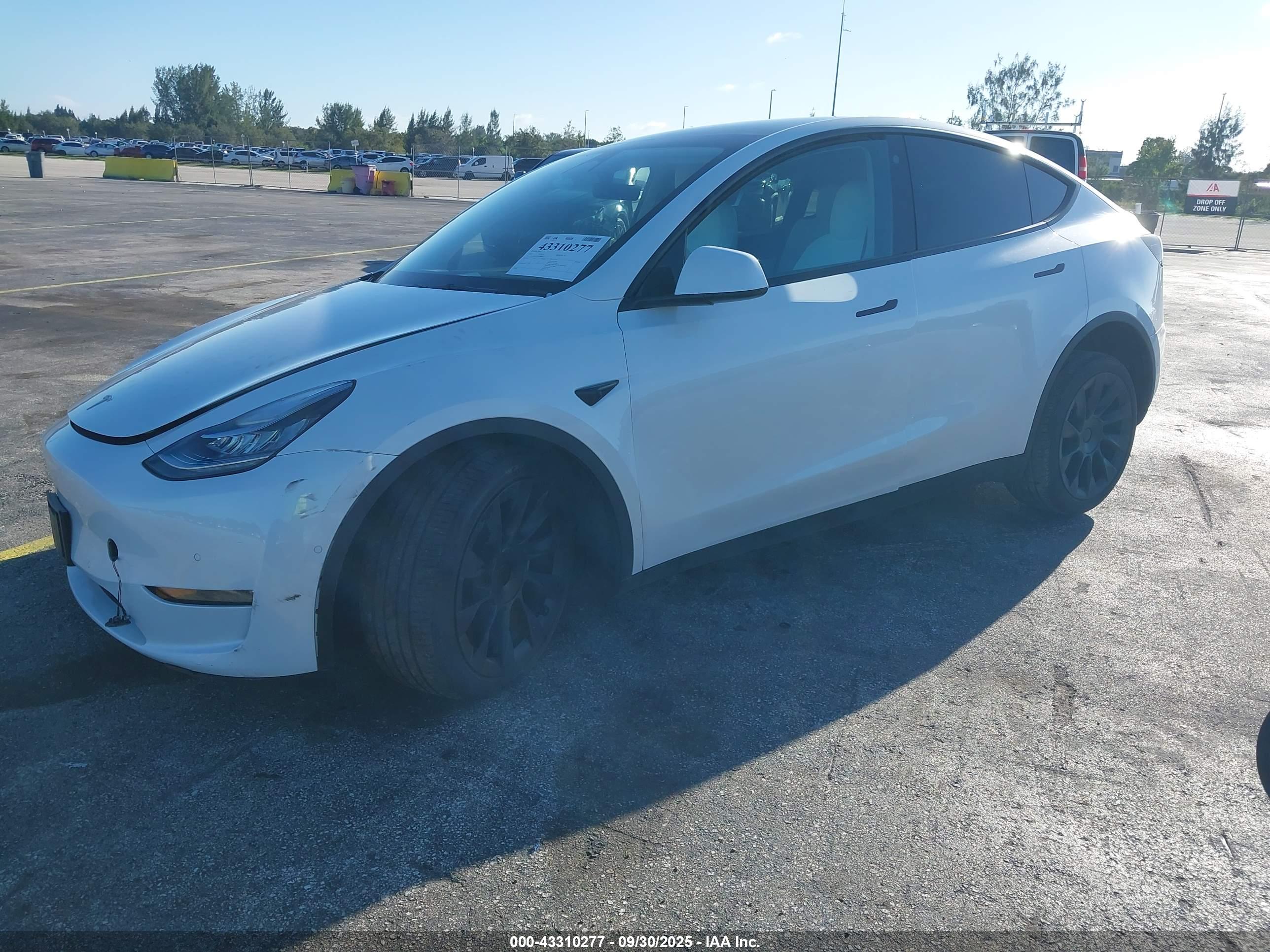 TESLA MODEL image 2