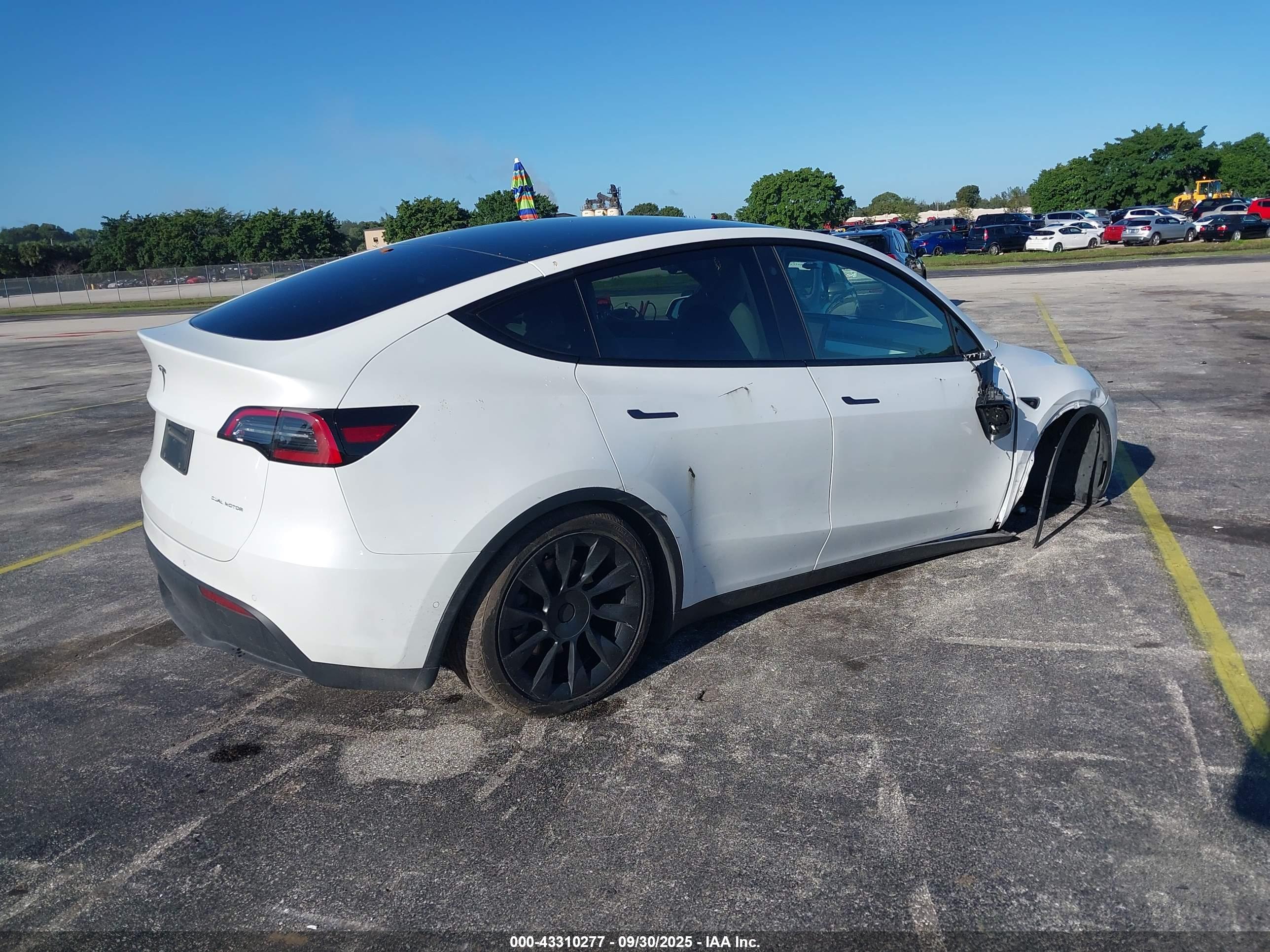 TESLA MODEL image 4