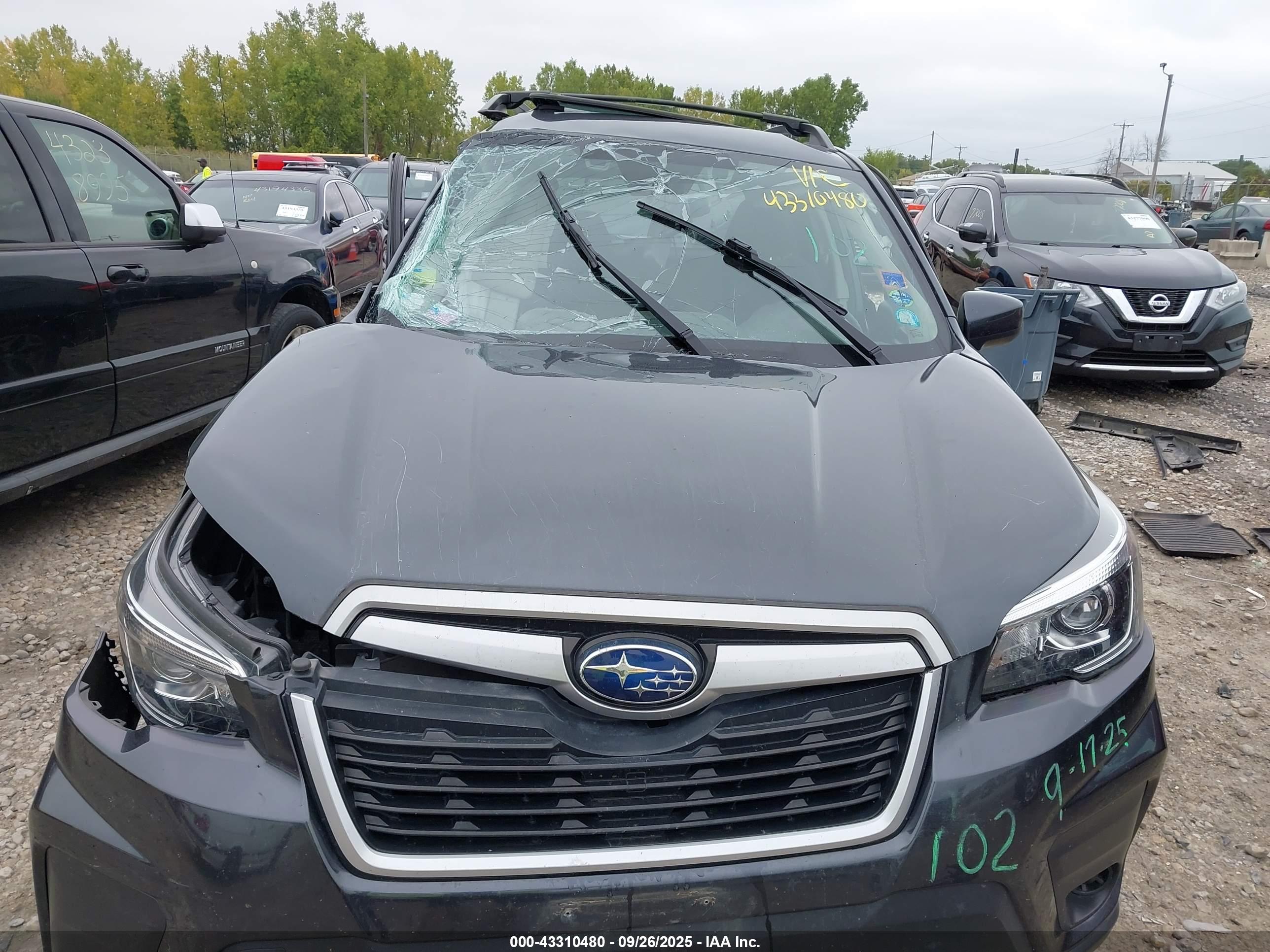 SUBARU FORESTER image 6