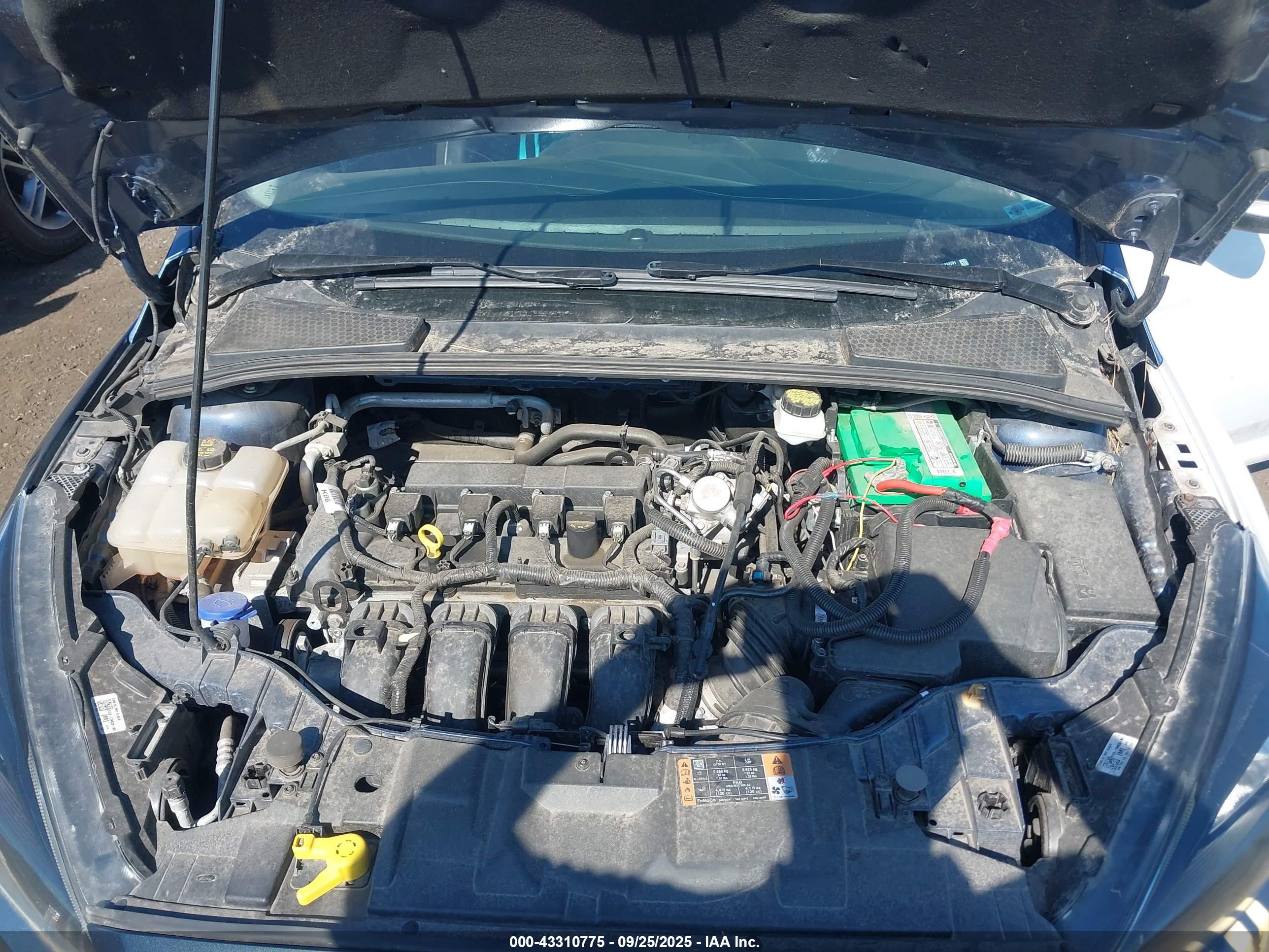 FORD FOCUS image 10
