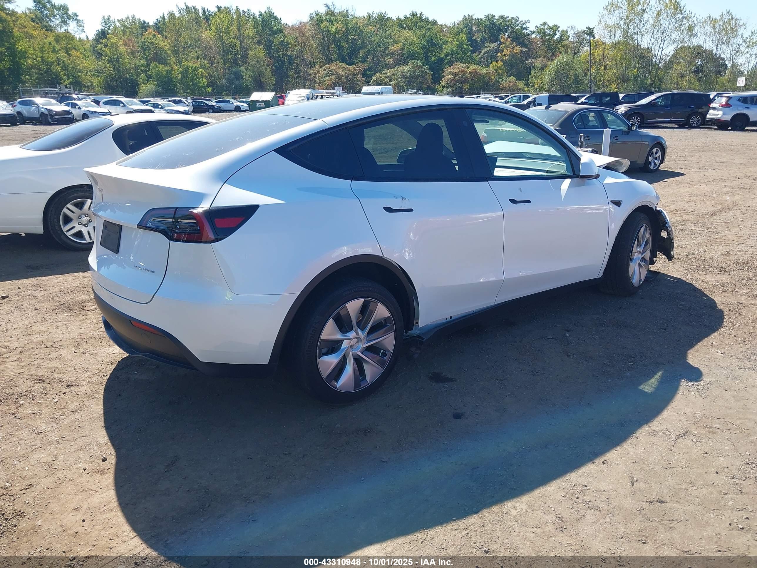 TESLA MODEL image 4