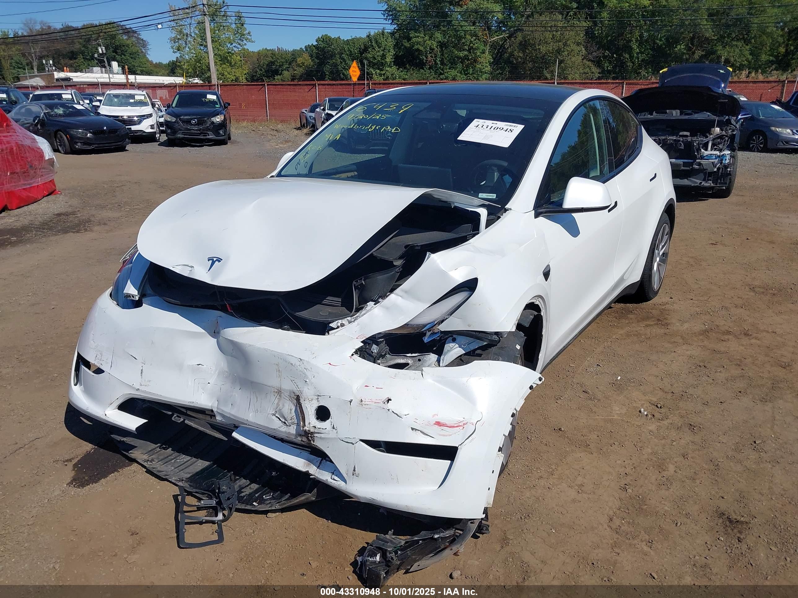 TESLA MODEL image 6