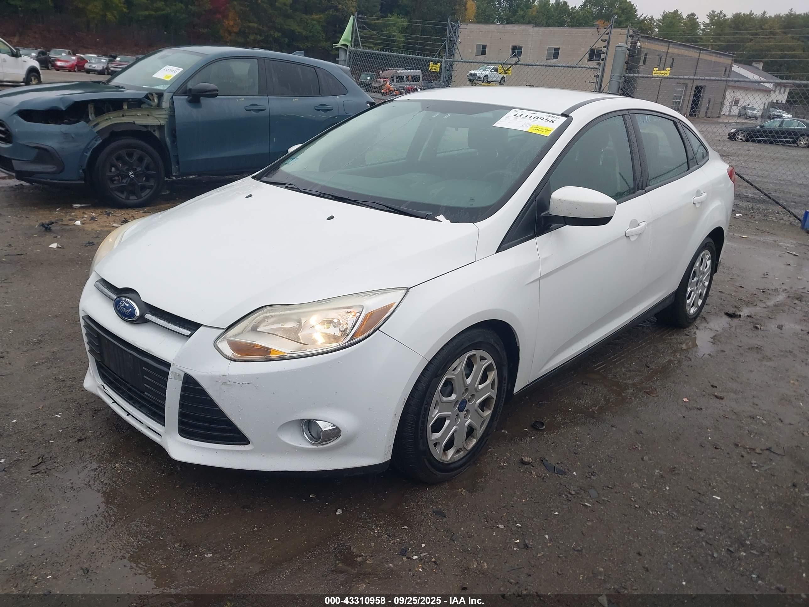 FORD FOCUS image 2