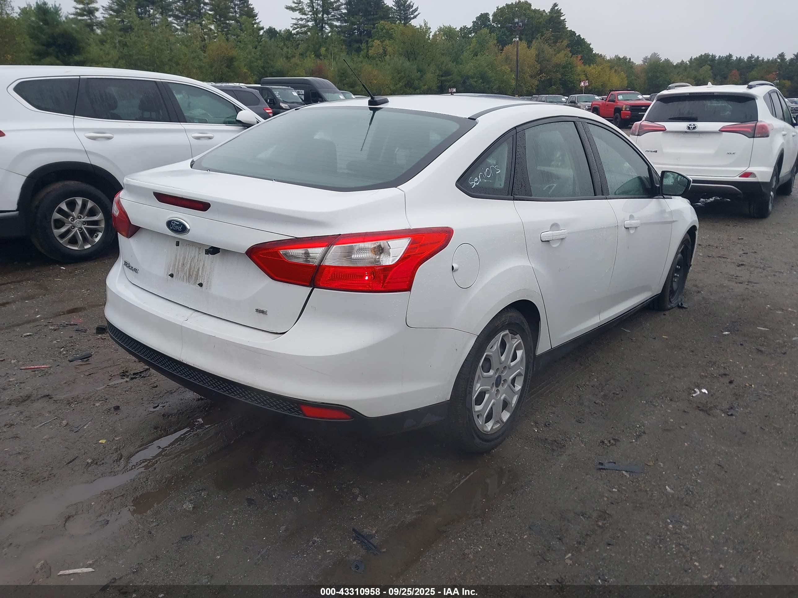 FORD FOCUS image 4