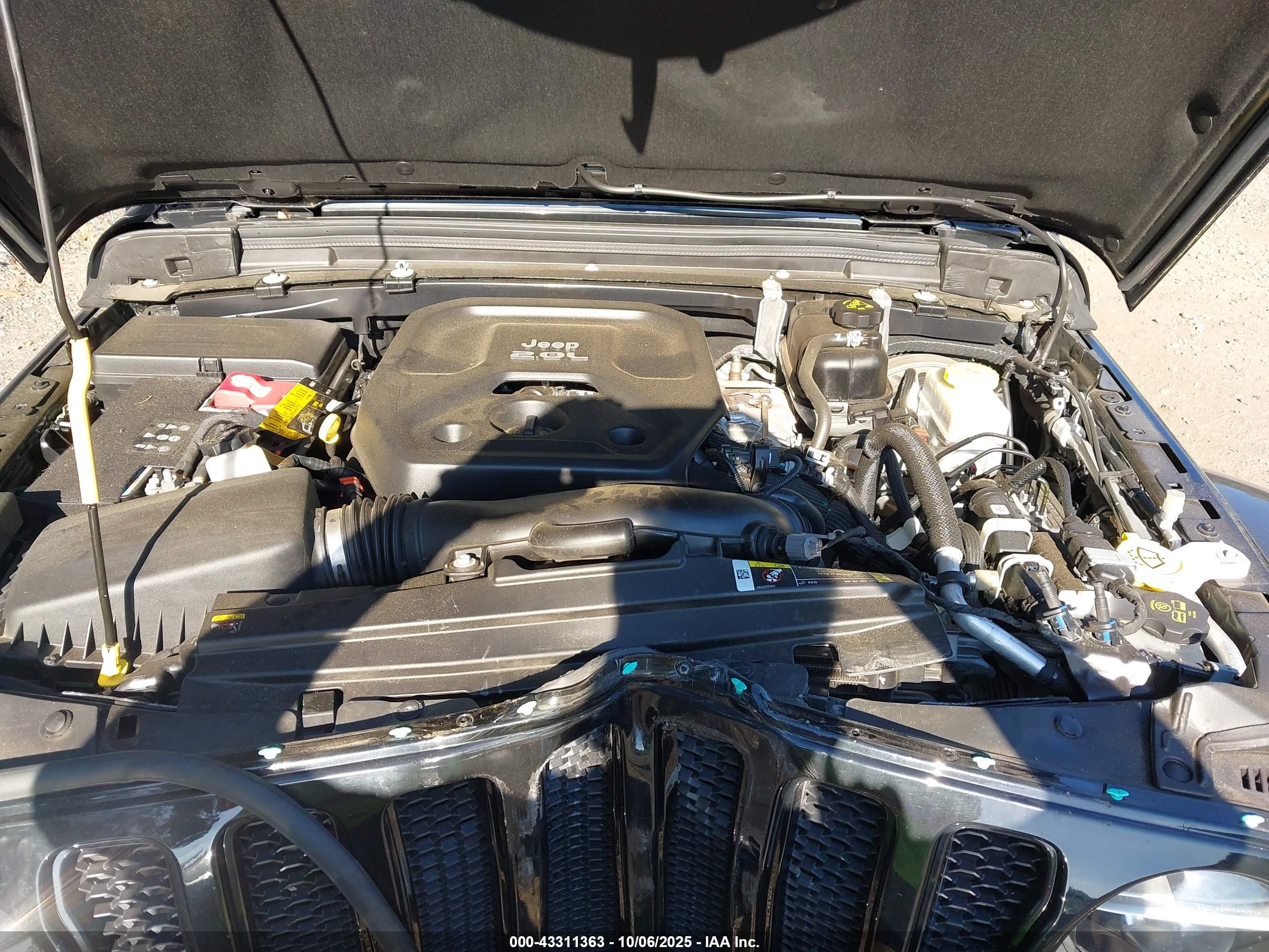 JEEP WRANGLER image 10