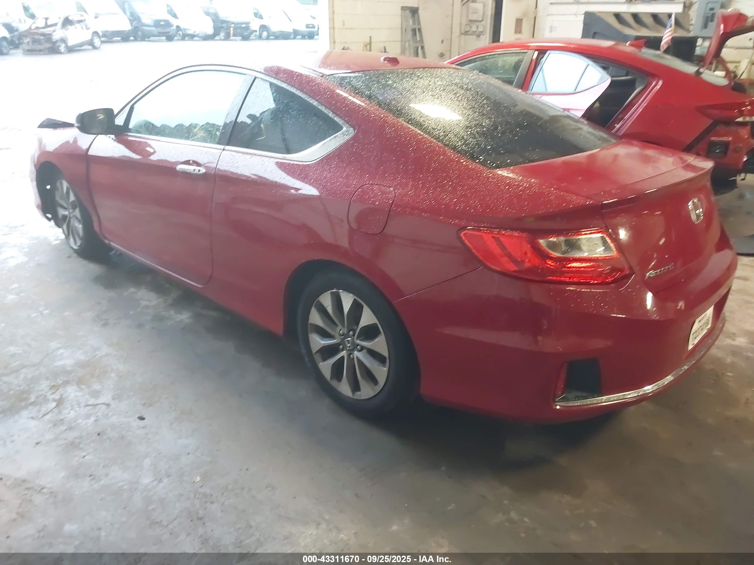 HONDA ACCORD image 3