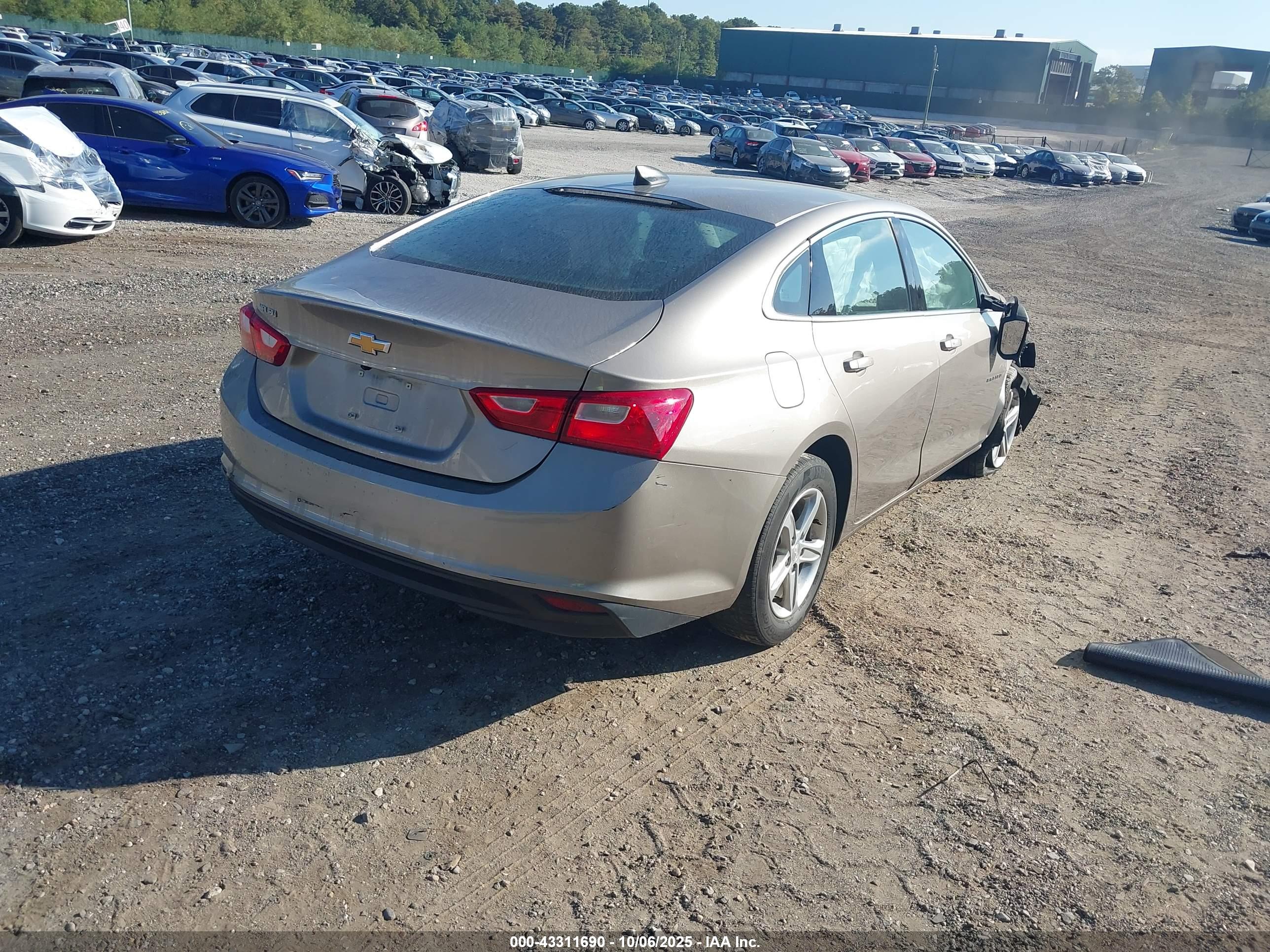 CHEVROLET MALIBU image 4