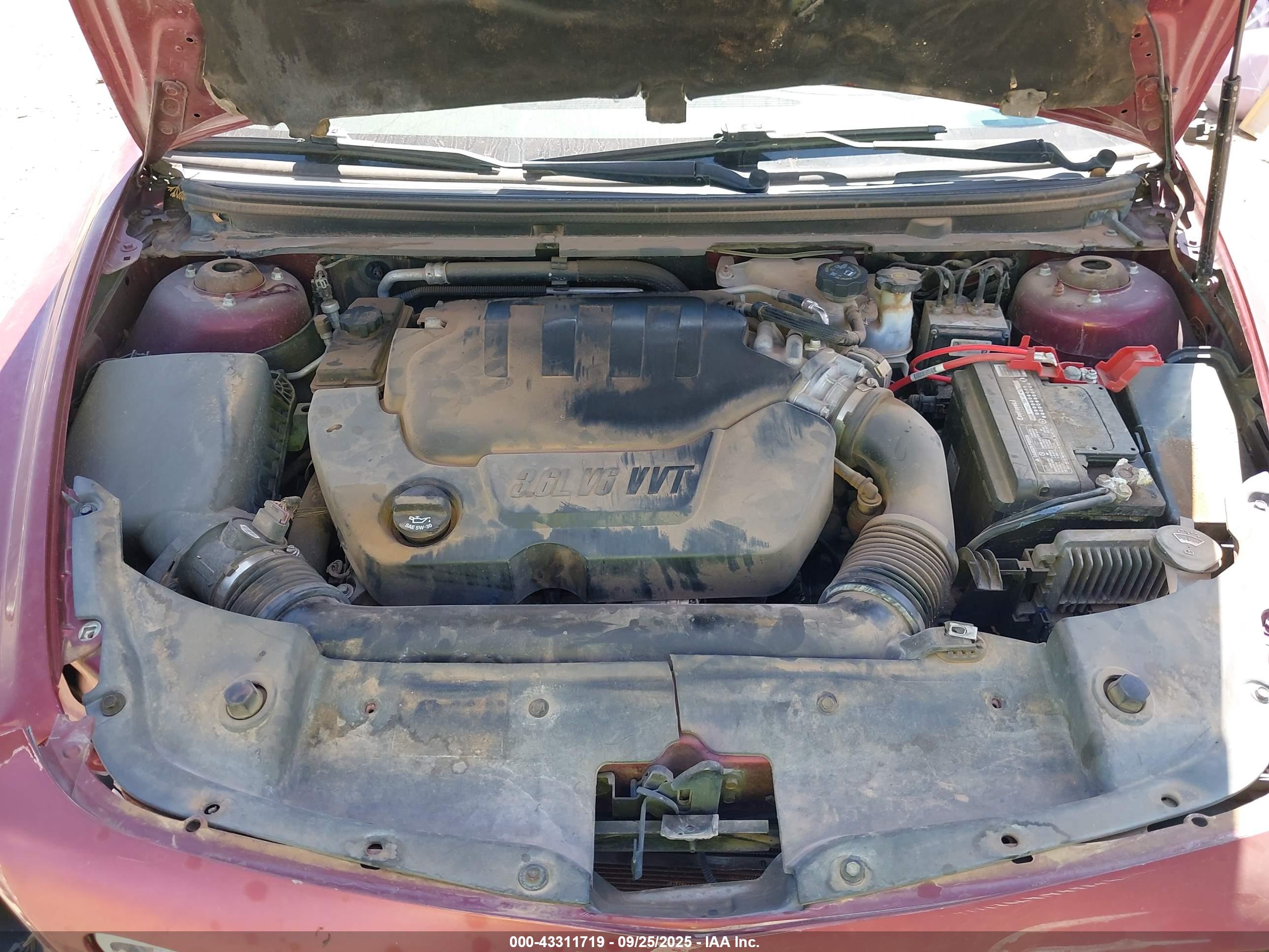 CHEVROLET MALIBU image 10