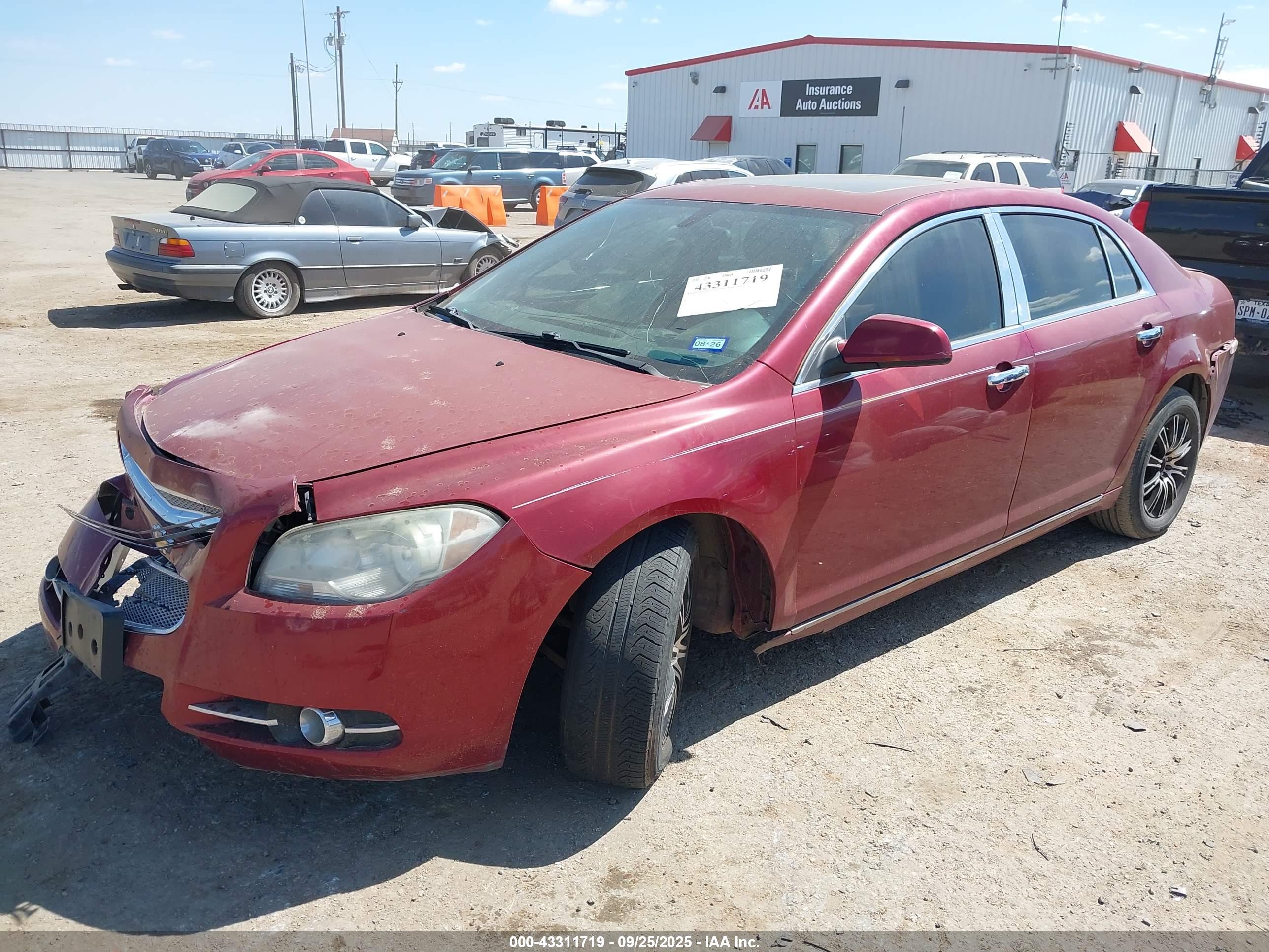 CHEVROLET MALIBU image 2