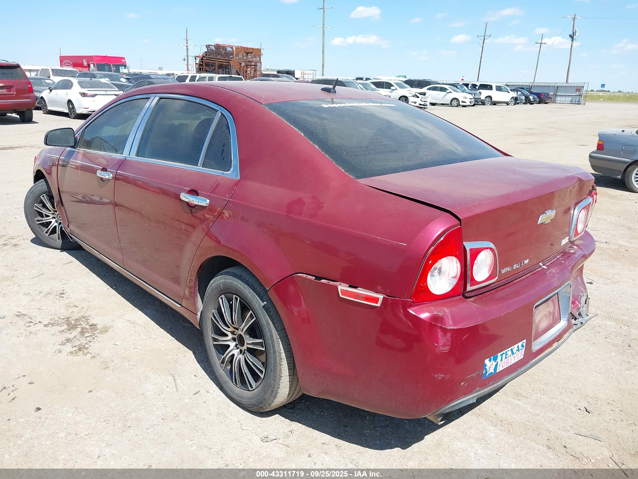 CHEVROLET MALIBU image 3