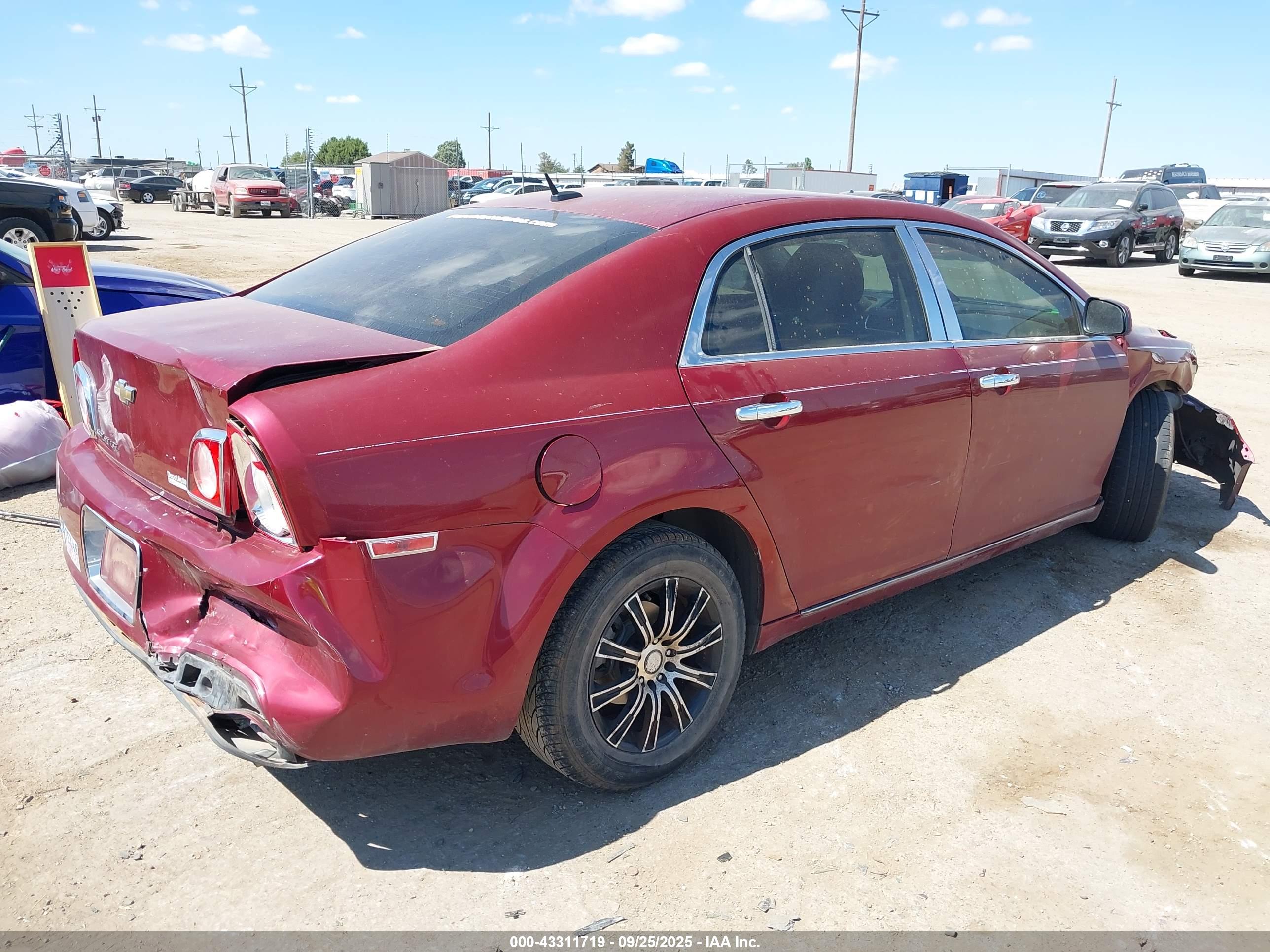 CHEVROLET MALIBU image 4