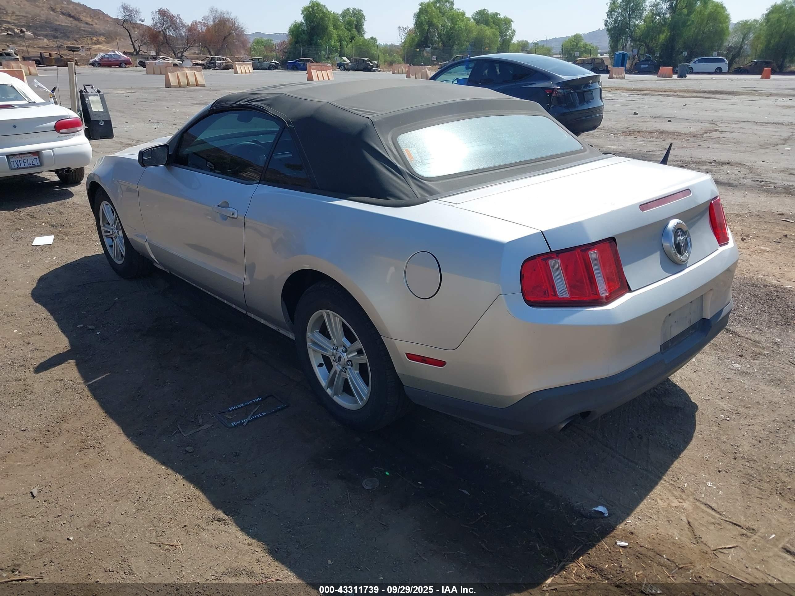 FORD MUSTANG image 3