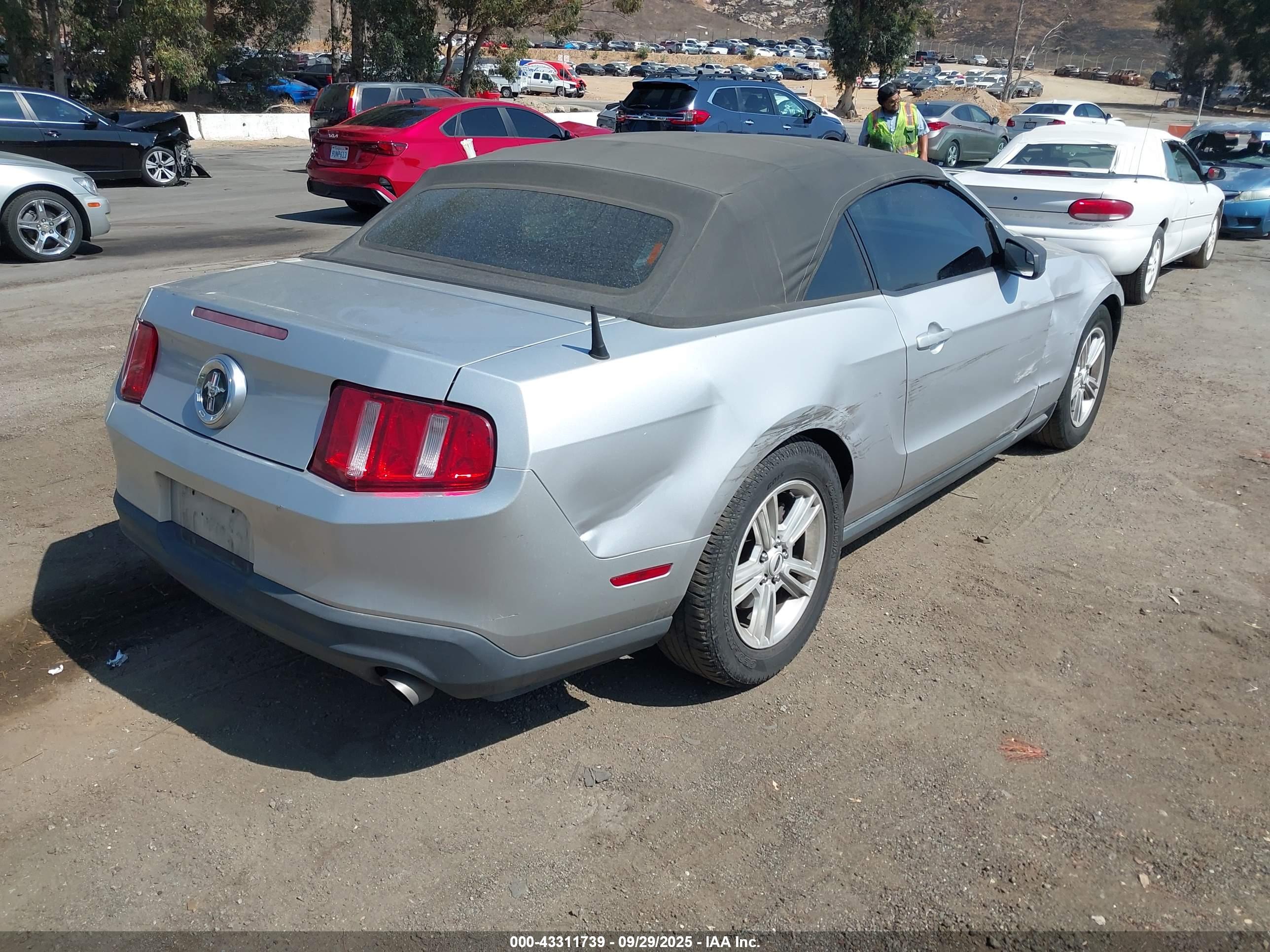 FORD MUSTANG image 4