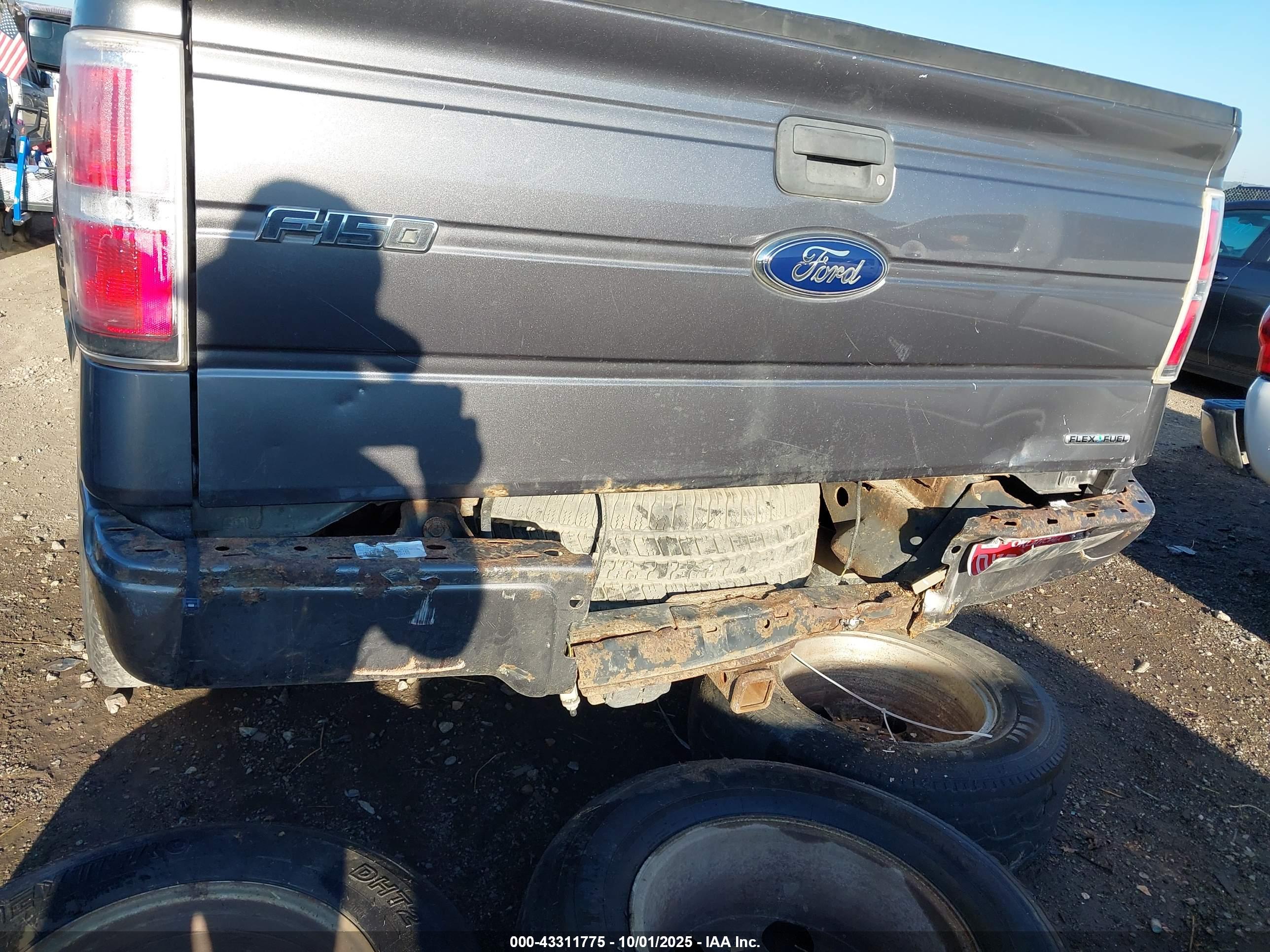 FORD F-150 image 6