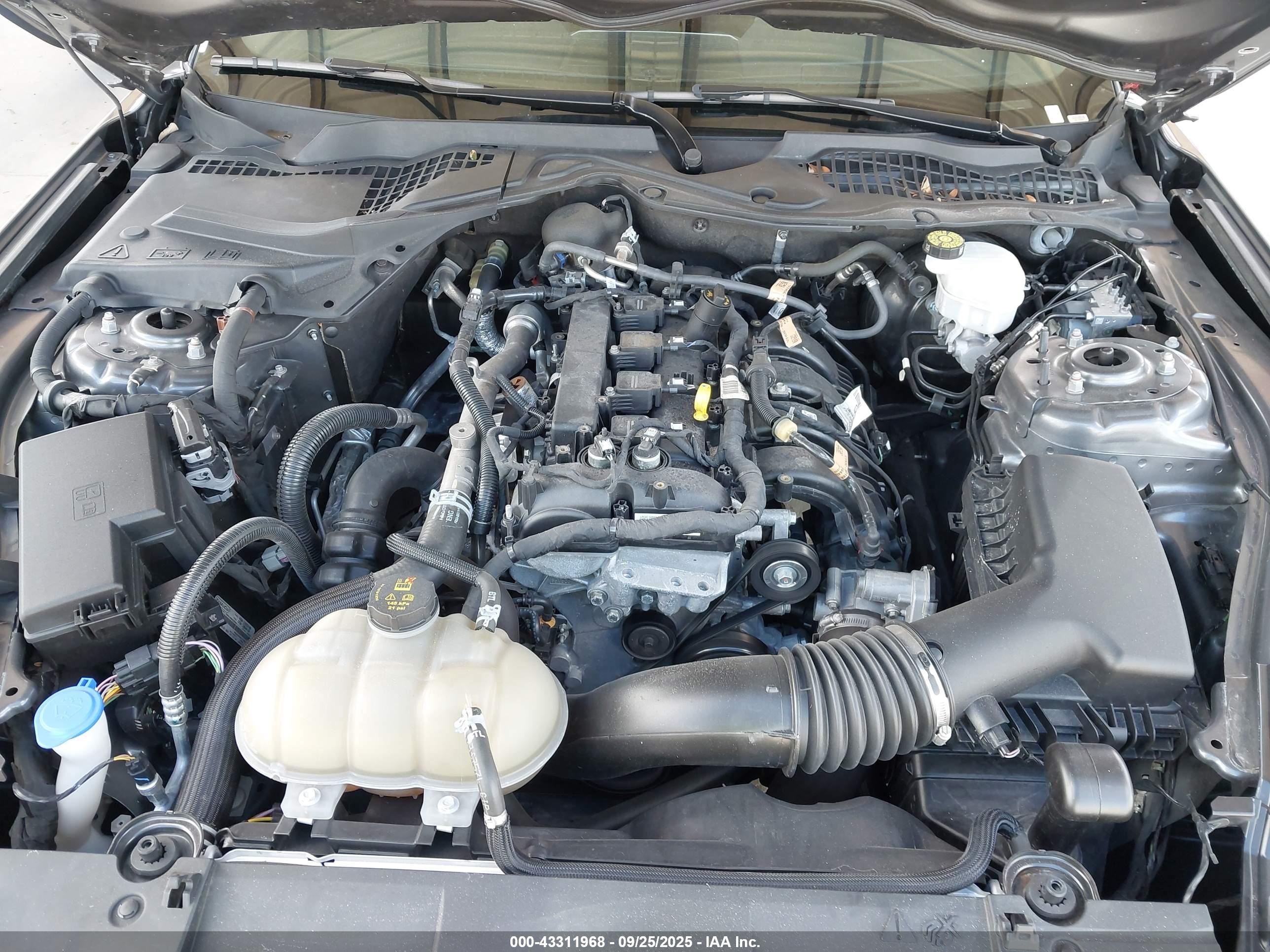 FORD MUSTANG image 10