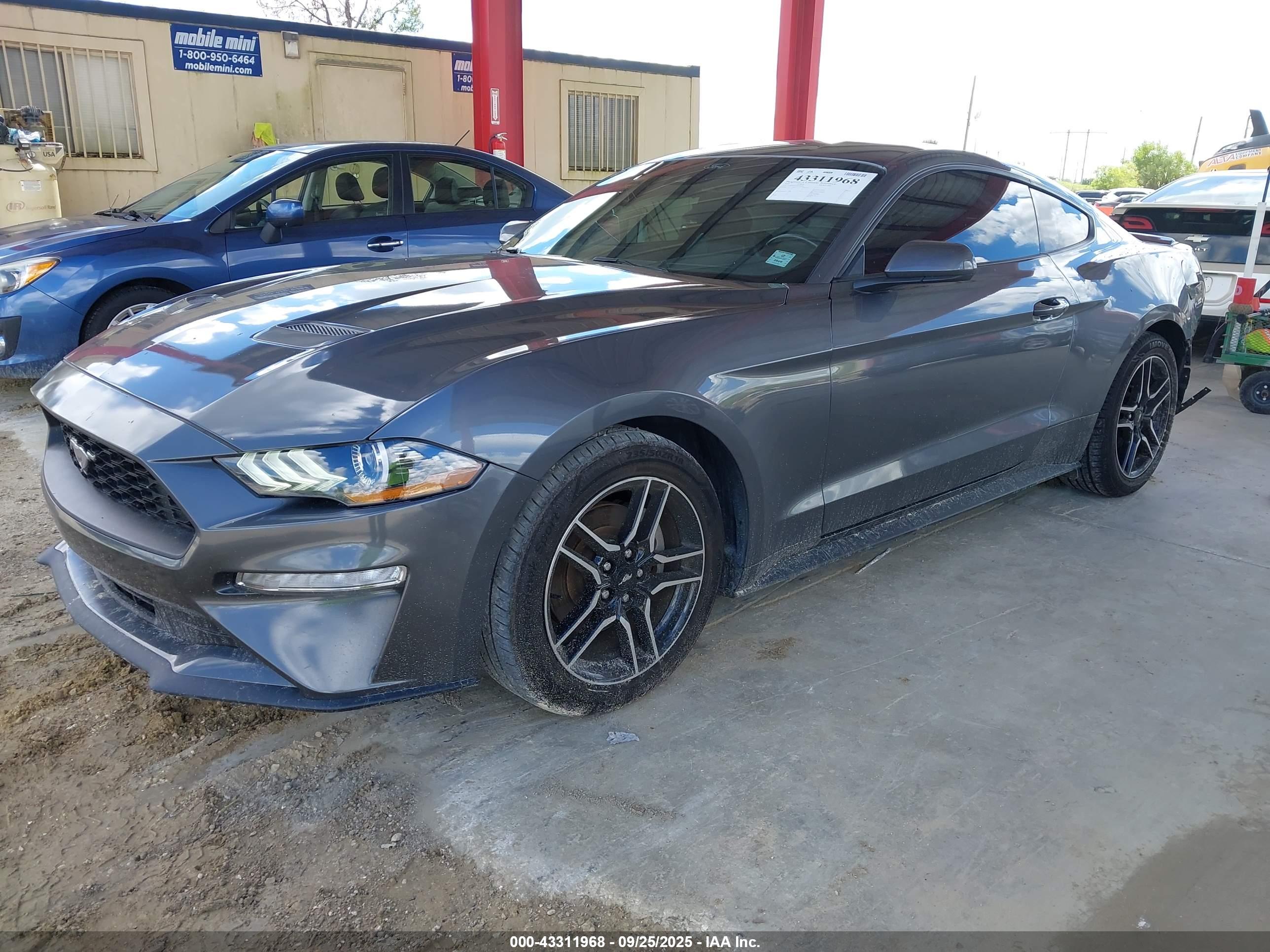 FORD MUSTANG image 2