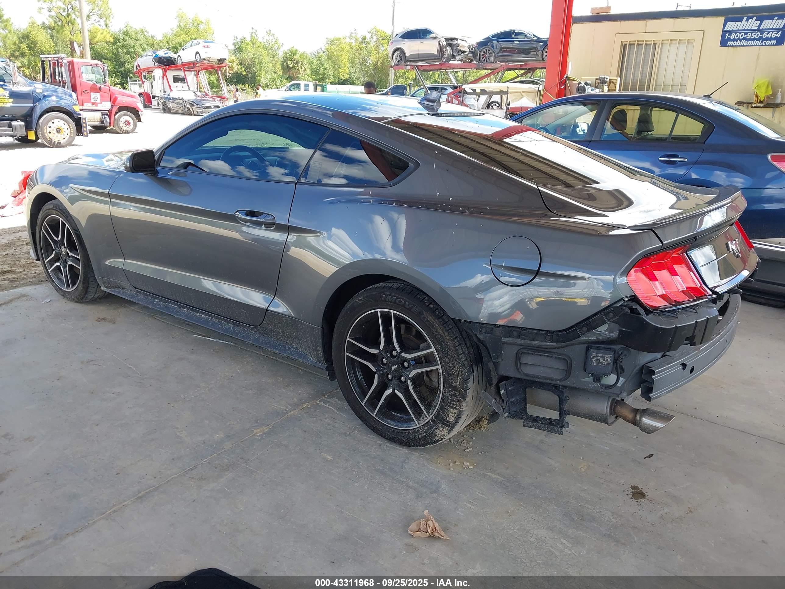FORD MUSTANG image 3